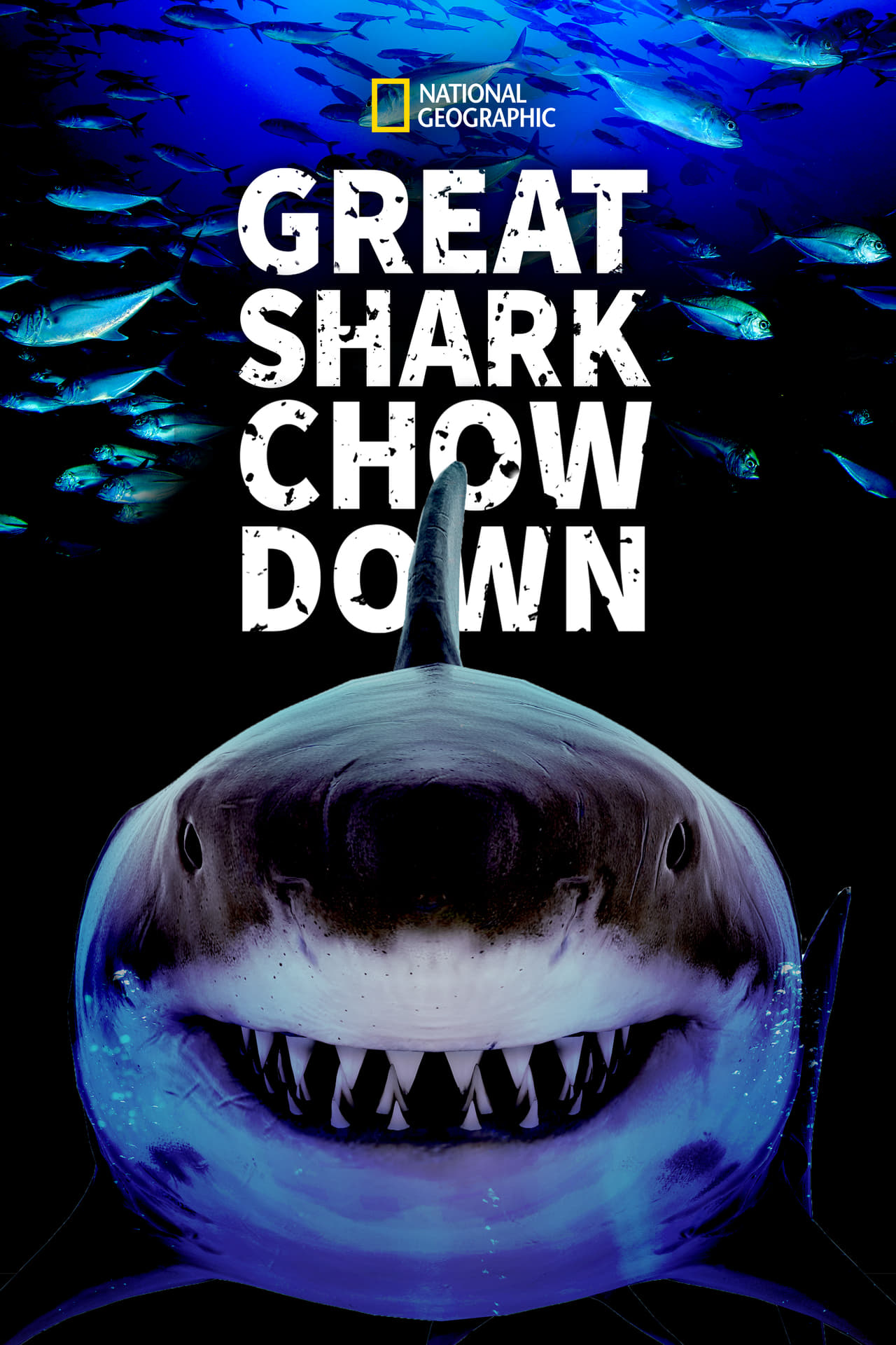 Great Shark Chow Down (2019) 128Kbps 25Fps 48Khz 2.0Ch Disney+ DD+ E-AC3 Turkish Audio TAC