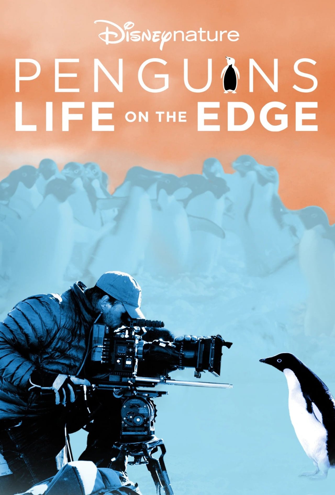 Penguins: Life on the Edge (2022) 256Kbps 23.976Fps 48Khz 5.1Ch Disney+ DD+ E-AC3 Turkish Audio TAC