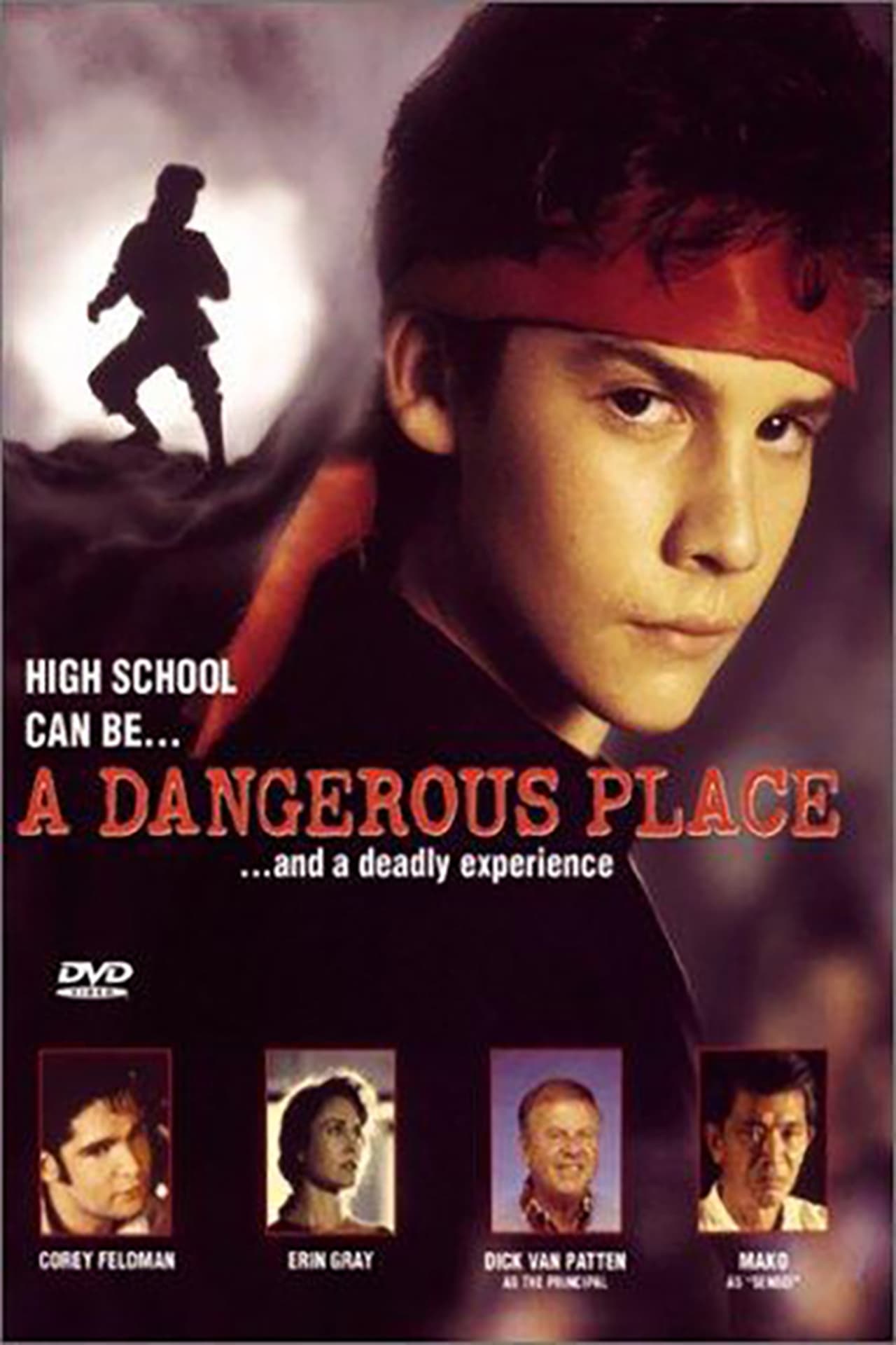 A Dangerous Place (1994) 192Kbps 23.976Fps 48Khz 2.0Ch DVD Turkish Audio TAC