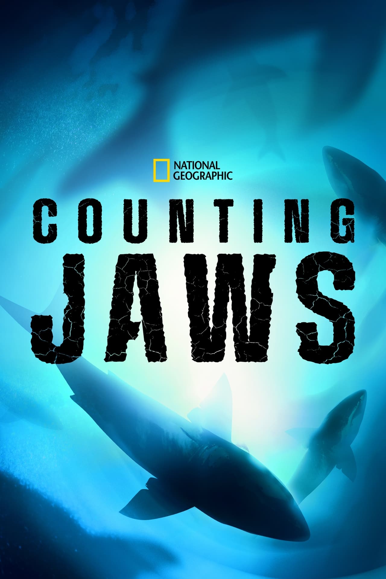 Counting Jaws (2022) 128Kbps 23.976Fps 48Khz 2.0Ch Disney+ DD+ E-AC3 Turkish Audio TAC