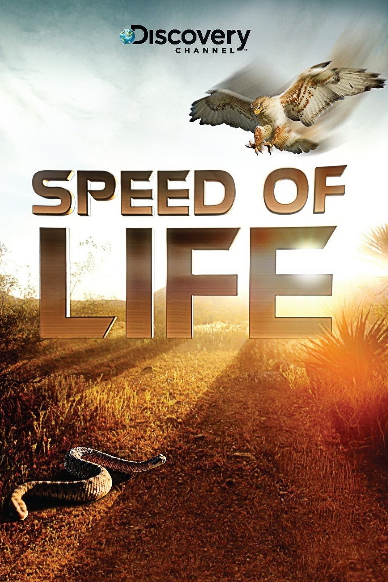 Speed of Life (2010) S1 EP1 Hunters of East Africa 448Kbps 25Fps 48Khz 2.0Ch BluRay Turkish Audio TAC
