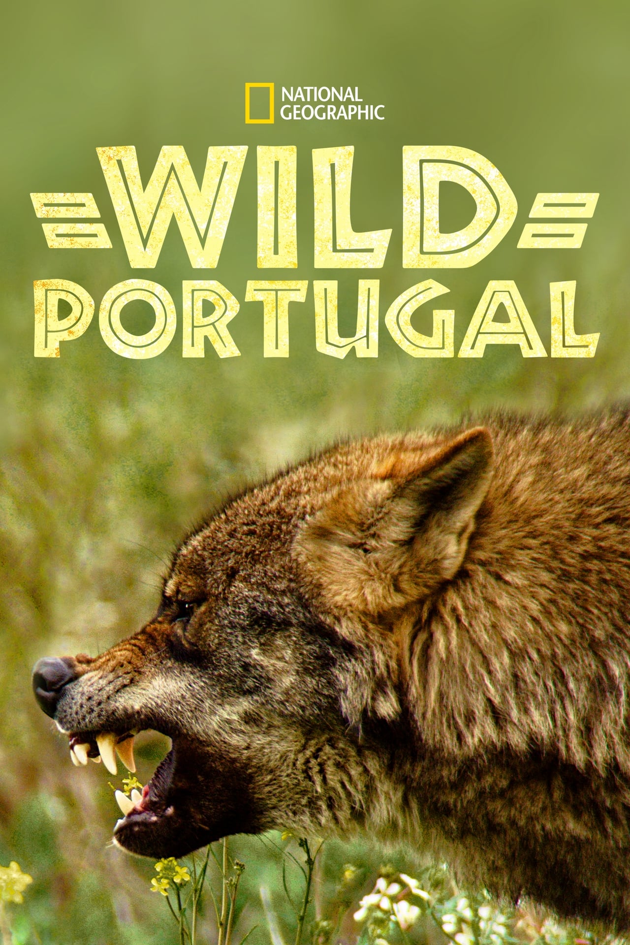 Wild Portugal (2020) 128Kbps 25Fps 48Khz 2.0Ch Disney+ DD+ E-AC3 Turkish Audio TAC