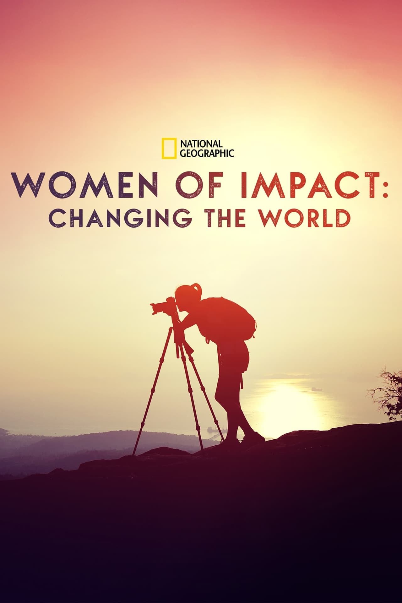 Women of Impact Changing the World (2019) 128Kbps 29.970Fps 48Khz 2.0Ch Disney+ DD+ E-AC3 Turkish Audio TAC