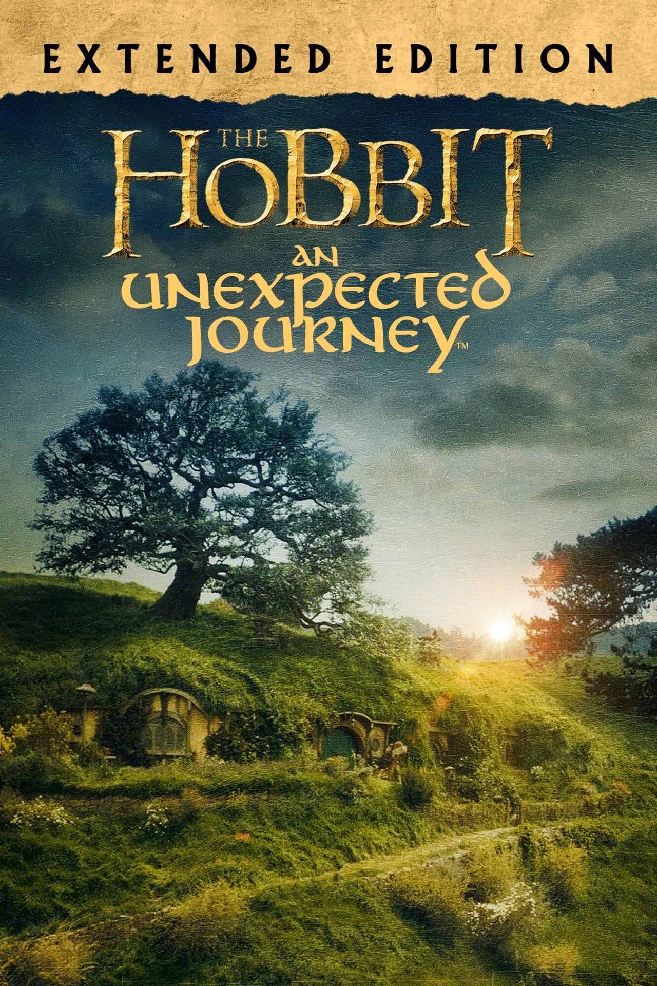 The Hobbit: An Unexpected Journey (2012) Extended Cut 192Kbps 23-976Fps 48Khz 2-0Ch DigitalTV Turkish Audio TAC