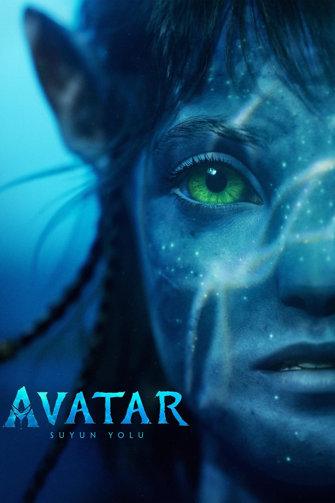 Avatar: The Way of Water (2022) 256Kbps 23.976Fps 48Khz 5.1Ch Disney+ DD+ E-AC3 Turkish Audio TAC