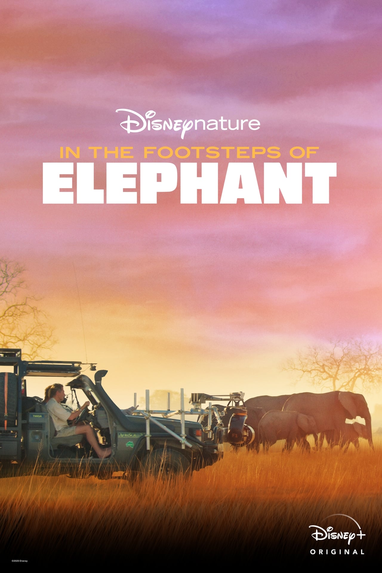 In the Footsteps of Elephant (2020) 256Kbps 23.976Fps 48Khz 5.1Ch Disney+ DD+ E-AC3 Turkish Audio TAC