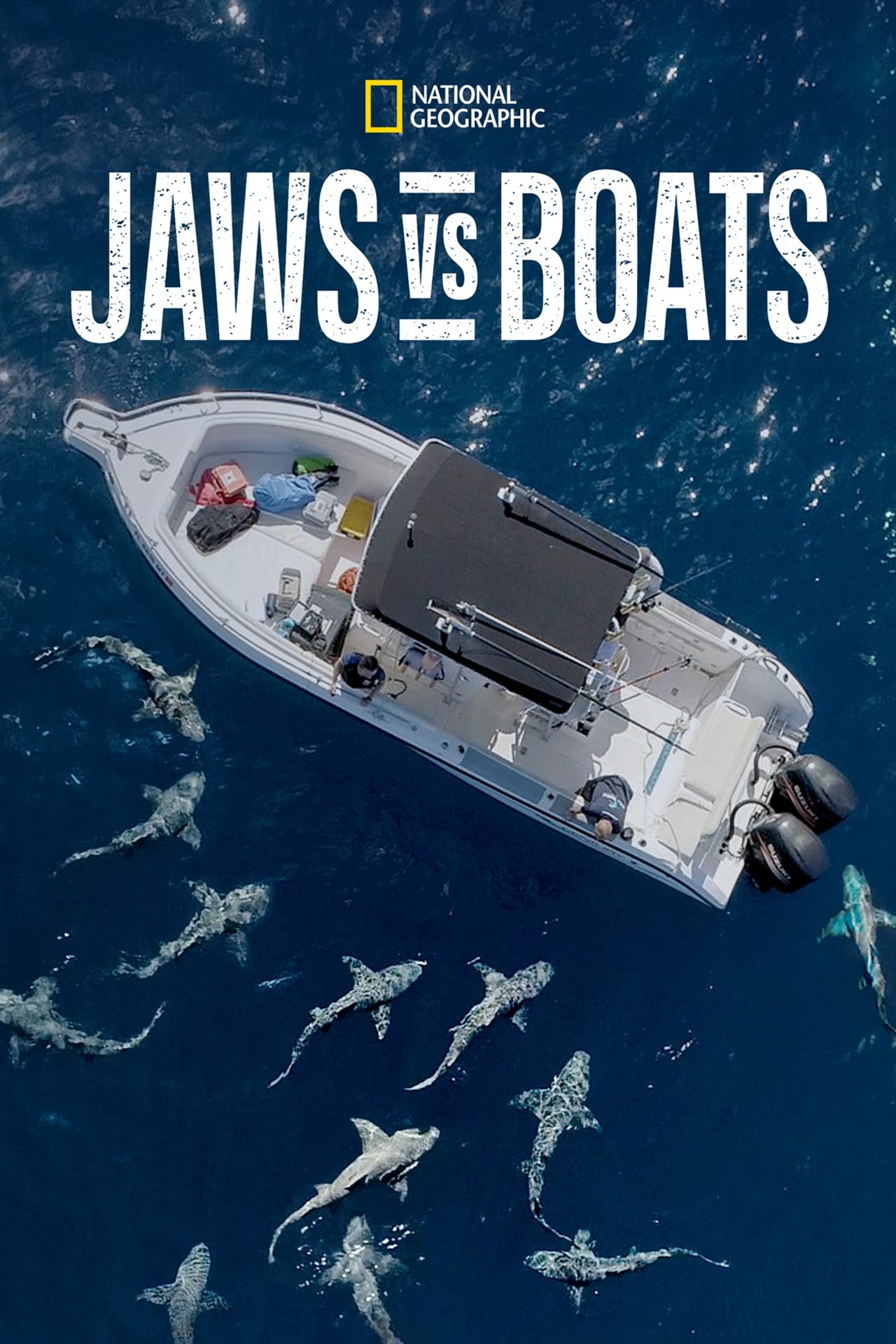 Jaws vs. Boats (2022) 128Kbps 29.970Fps 48Khz 2.0Ch Disney+ DD+ E-AC3 Turkish Audio TAC