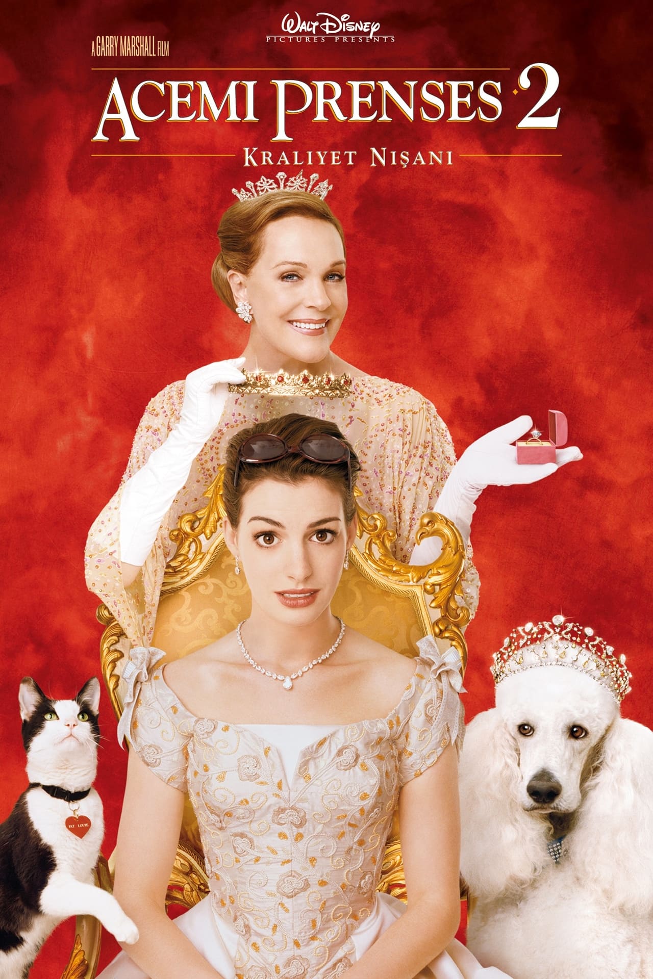 The Princess Diaries 2: Royal Engagement (2004) 128Kbps 23.976Fps 48Khz 2.0Ch Disney+ DD+ E-AC3 Turkish Audio TAC
