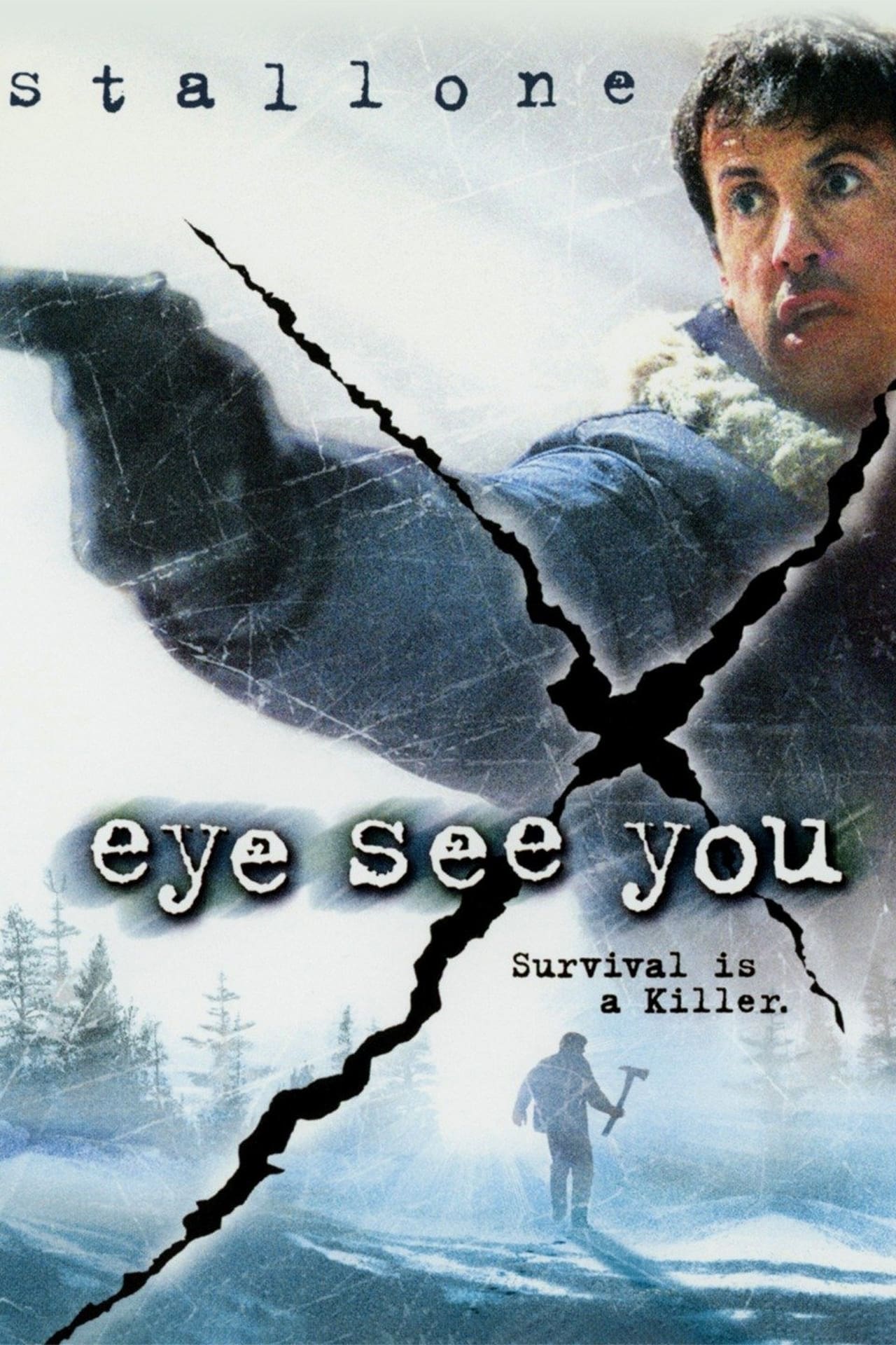Eye See You (2002) 640Kbps 23.976Fps 48Khz 5.1Ch DD+ NF E-AC3 Turkish Audio TAC