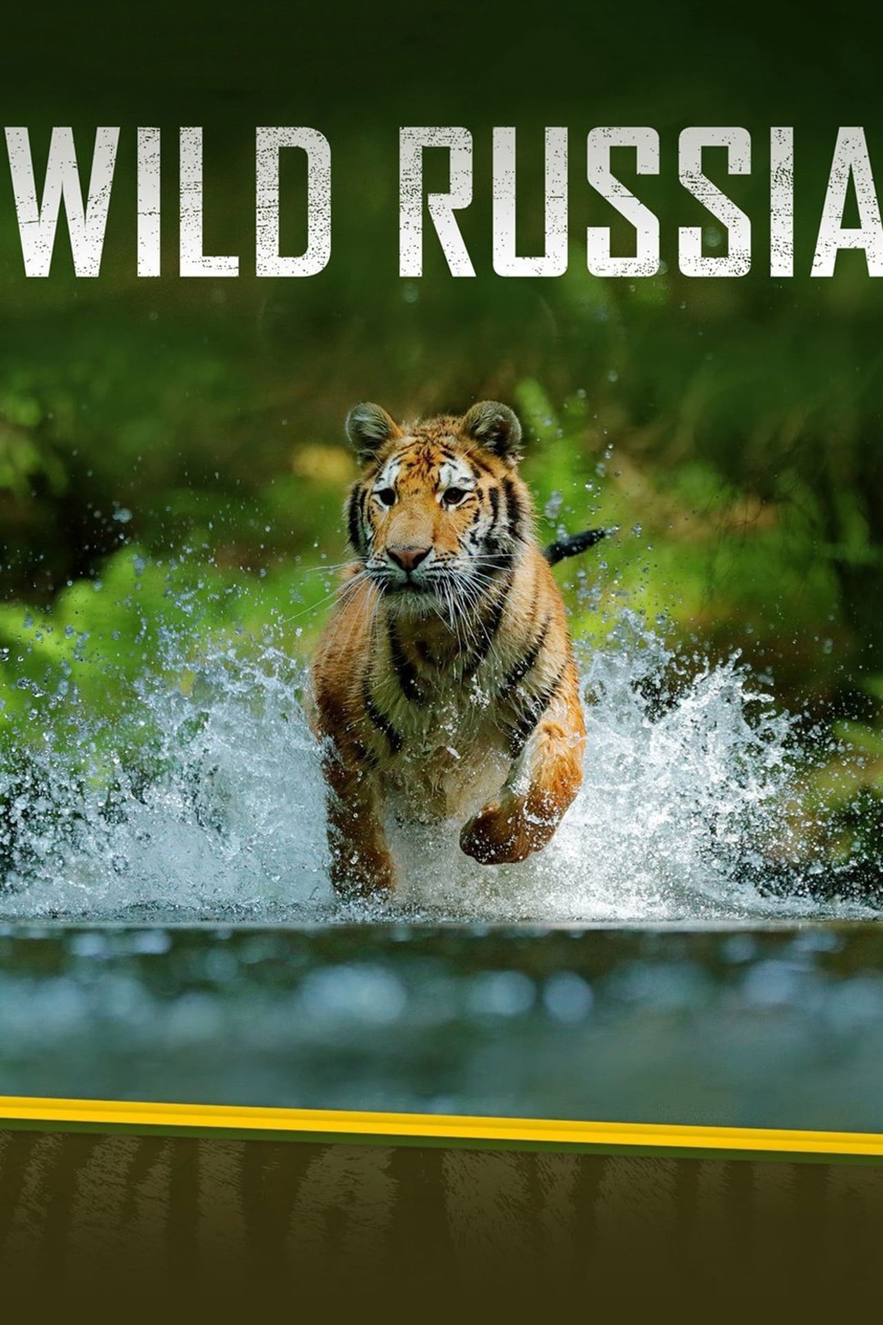 Wild Russia (2018) S1 EP01&EP04 128Kbps 25Fps 48Khz 2.0Ch Disney+ DD+ E-AC3 Turkish Audio TAC