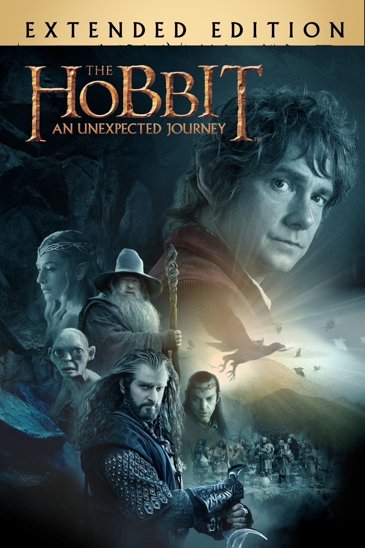 The Hobbit: An Unexpected Journey (2012) Extended Cut 448Kbps 23-976Fps 48Khz 5-1Ch BluRay Turkish Audio TAC