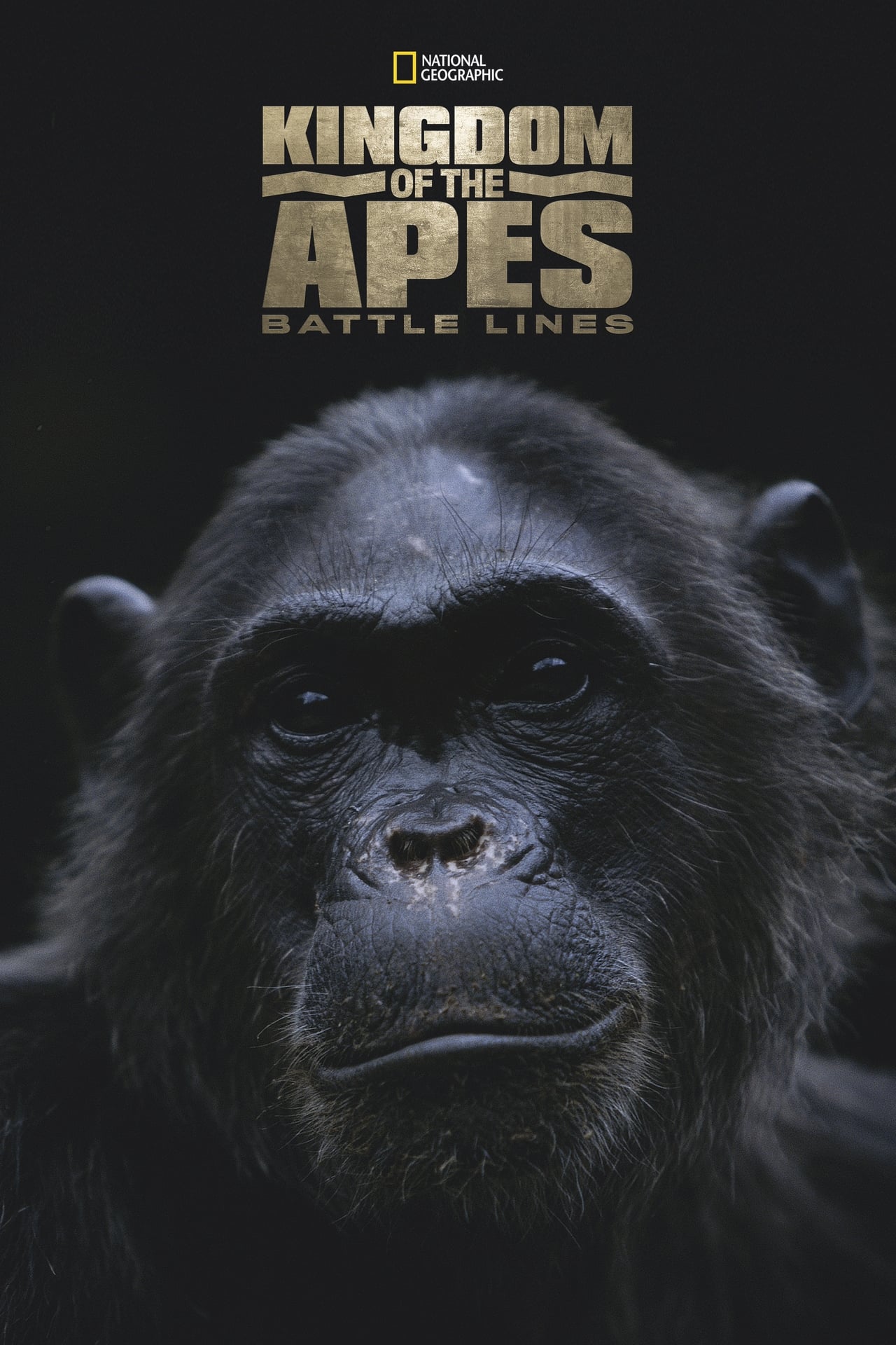 Kingdom of the Apes: Battle Lines (2014) 128Kbps 25Fps 48Khz 2.0Ch Disney+ DD+ E-AC3 Turkish Audio TAC