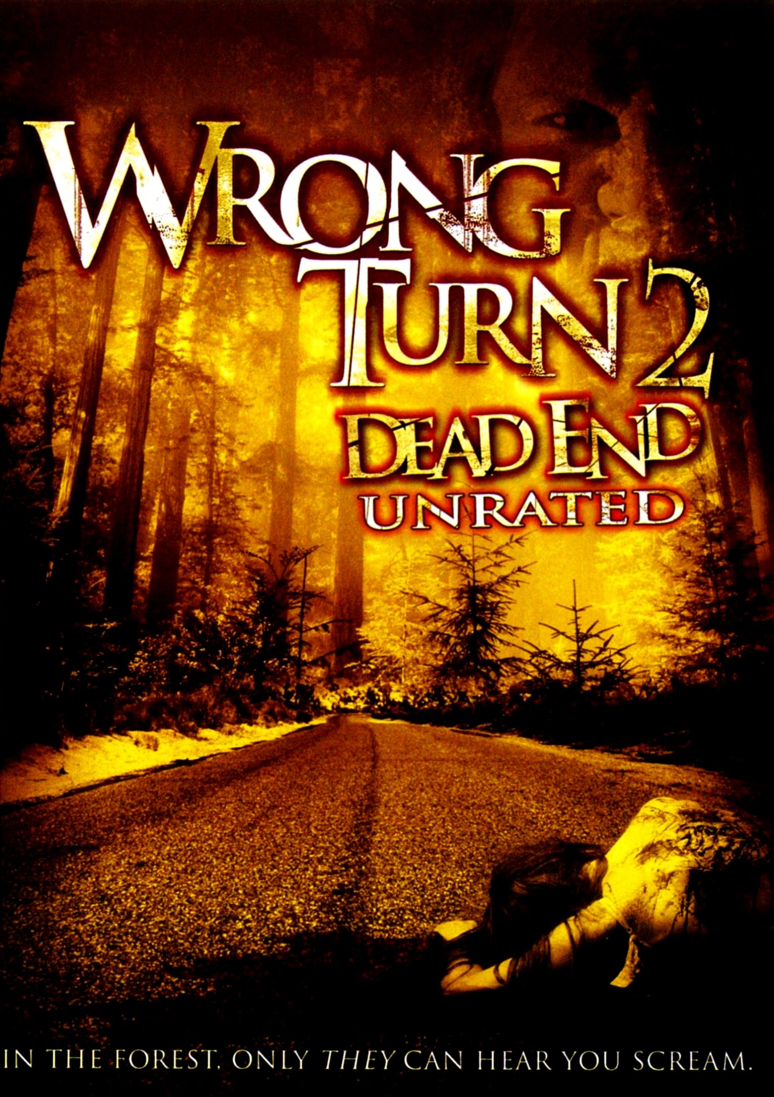Wrong Turn 2 Dead End (2007) Unrated Cut 128Kbps 23.976Fps 48Khz 2.0Ch NF DD+ E-AC3 Turkish Audio TAC