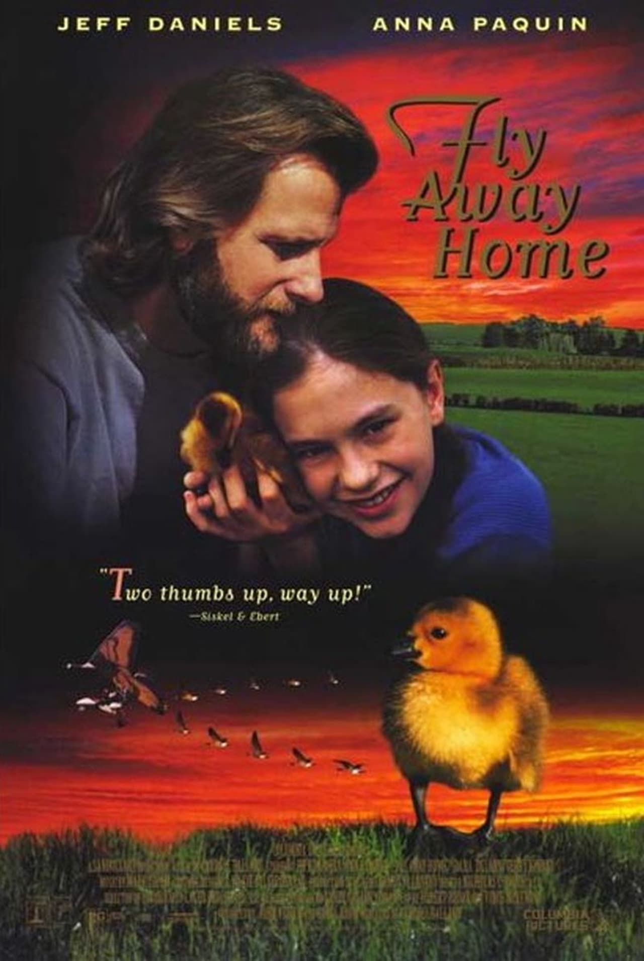 Fly Away Home (1996) 224Kbps 23.976Fps 48Khz 2.0Ch VCD Turkish Audio TAC