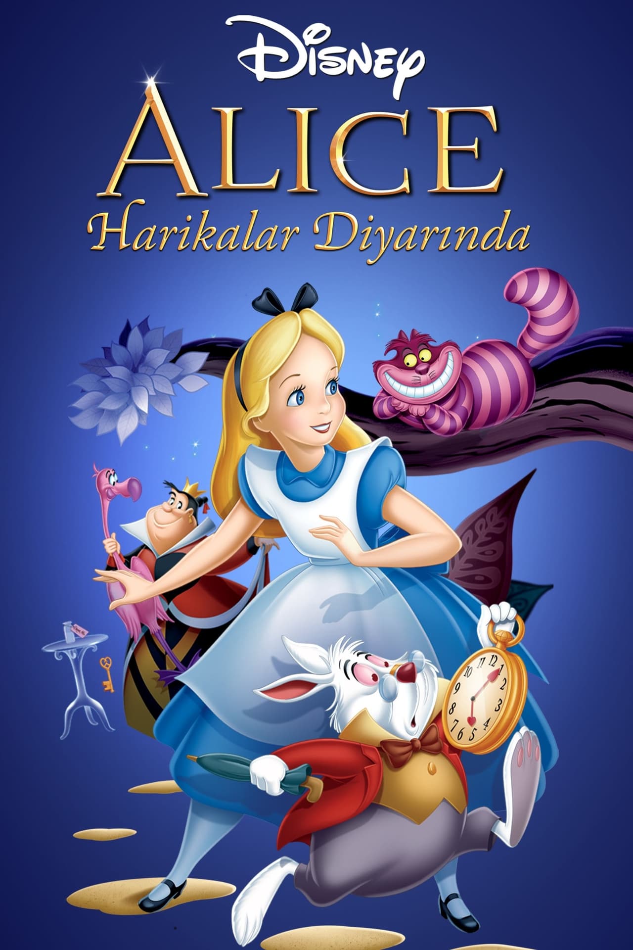 Alice in Wonderland (1951) 256Kbps 23.976Fps 48Khz 5.1Ch Disney+ DD+ E-AC3 Turkish Audio TAC