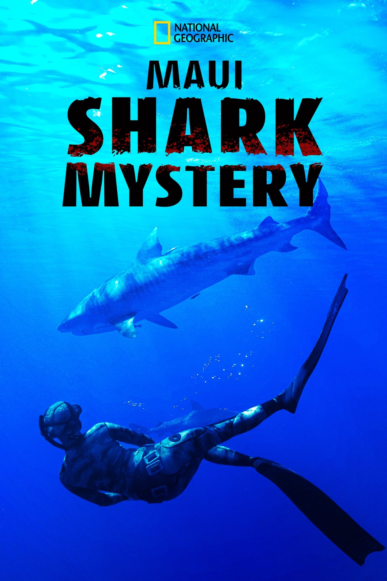 Maui Shark Mystery (2022) 128Kbps 29.970Fps 48Khz 2.0Ch Disney+ DD+ E-AC3 Turkish Audio TAC