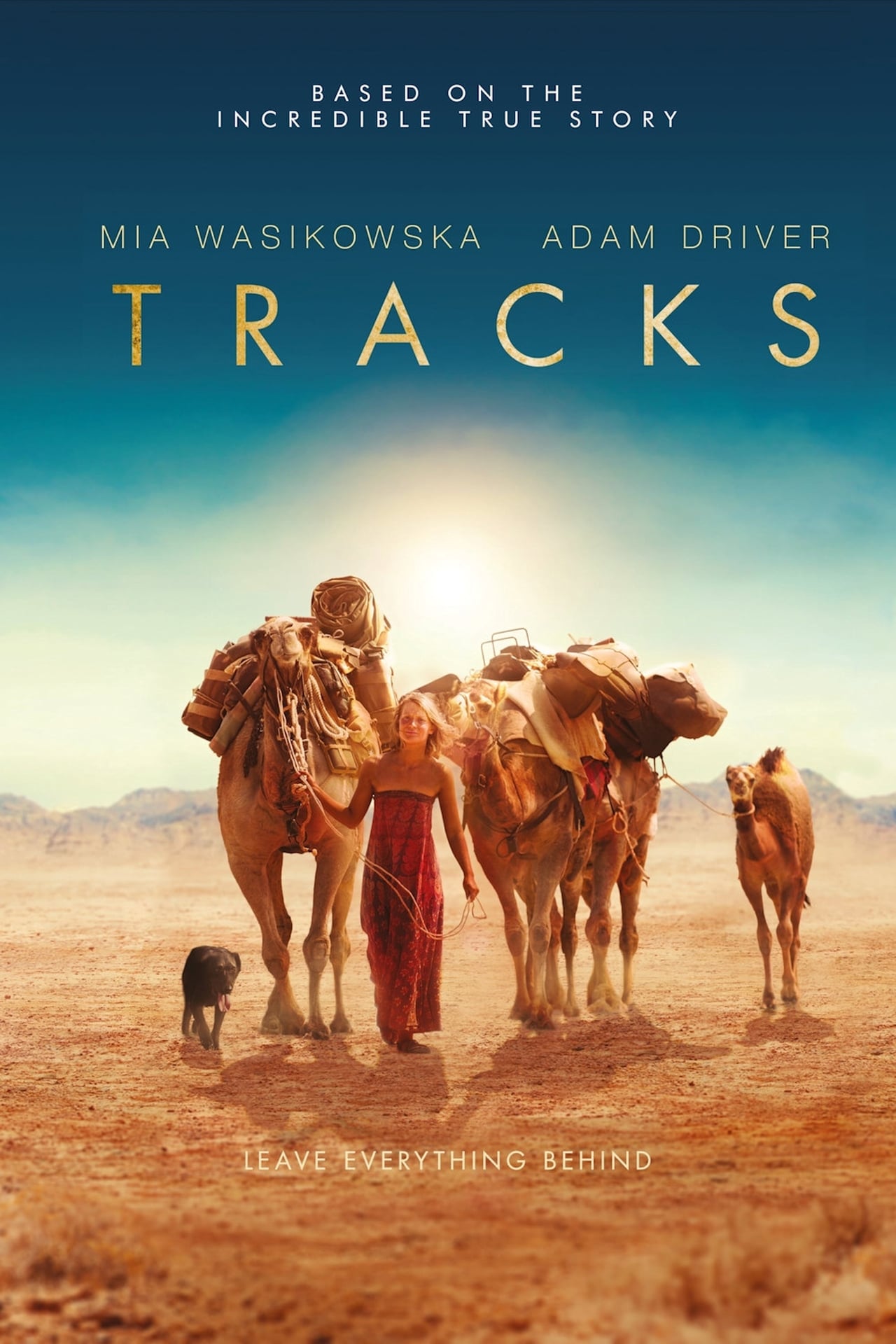 Tracks (2013) 192Kbps 24Fps 48Khz 2.0Ch DigitalTV Turkish Audio TAC