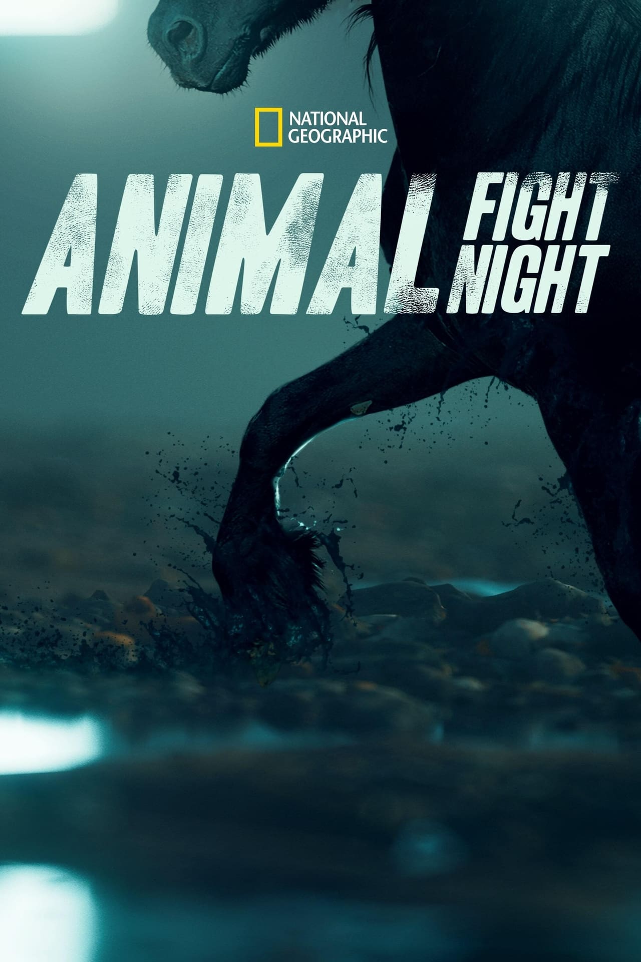 Animal Fight Night (2015) S3 EP01&EP07 128Kbps 25Fps 48Khz 2.0Ch Disney+ DD+ E-AC3 Turkish Audio TAC