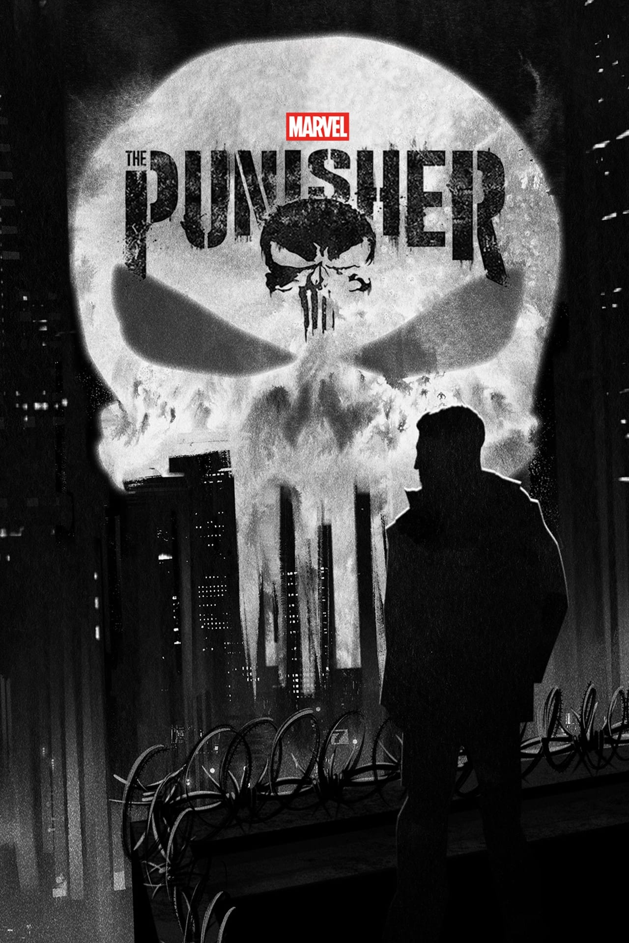 The Punisher (2017) S1 EP01&EP13 256Kbps 23.976Fps 48Khz 5.1Ch Disney+ DD+ E-AC3 Turkish Audio TAC