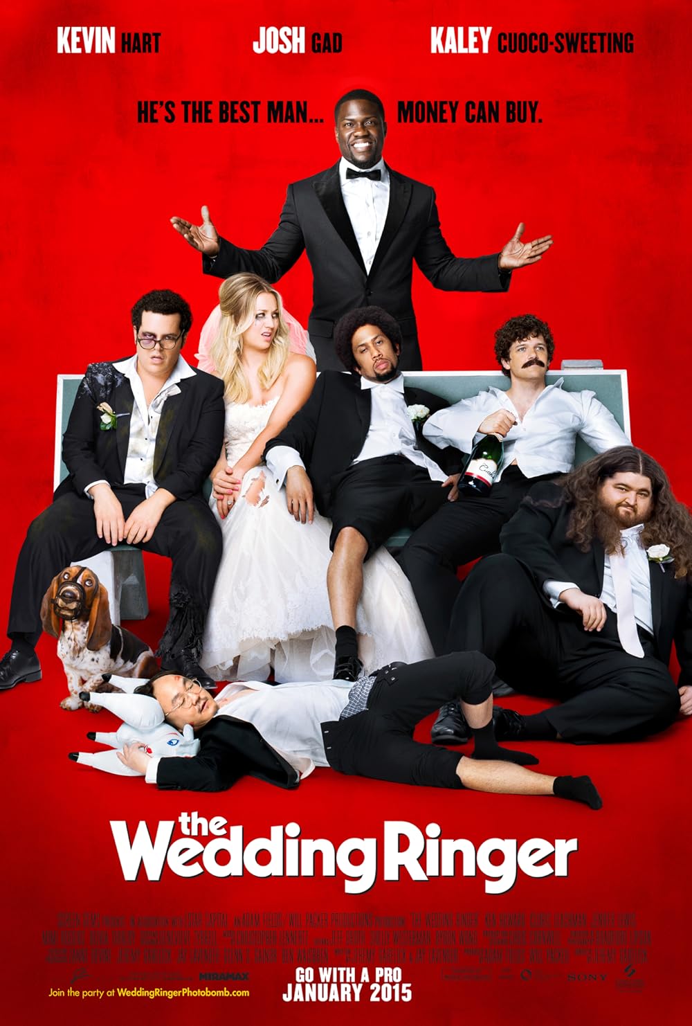 The Wedding Ringer (2015) 384Kbps 23.976Fps 48Khz 5.1Ch DVD Turkish Audio TAC