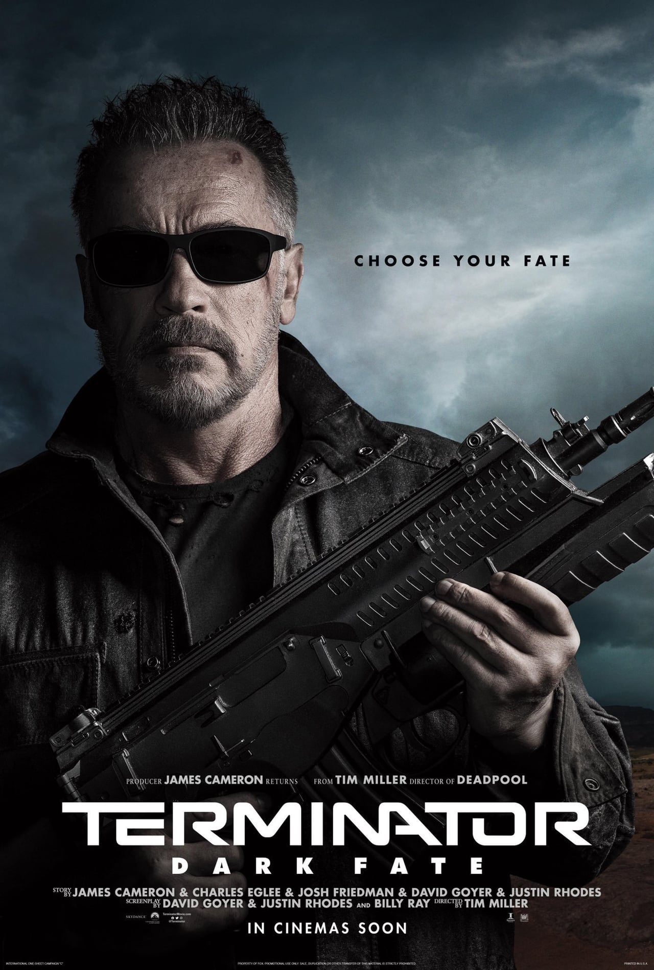 Terminator: Dark Fate (2019) 384Kbps 23.976Fps 48Khz 5.1Ch iTunes Turkish Audio TAC