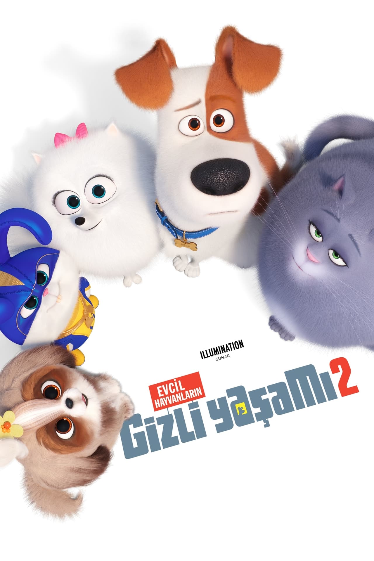 The Secret Life of Pets 2 (2019) 192Kbps 23.976Fps 48Khz 2.0Ch iTunes Turkish Audio TAC