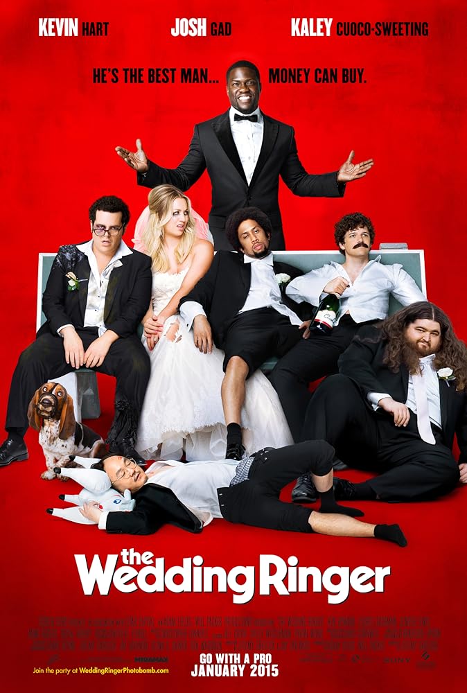 The Wedding Ringer (2015) 640Kbps 23.976Fps 48Khz 5.1Ch BluRay Turkish Audio TAC