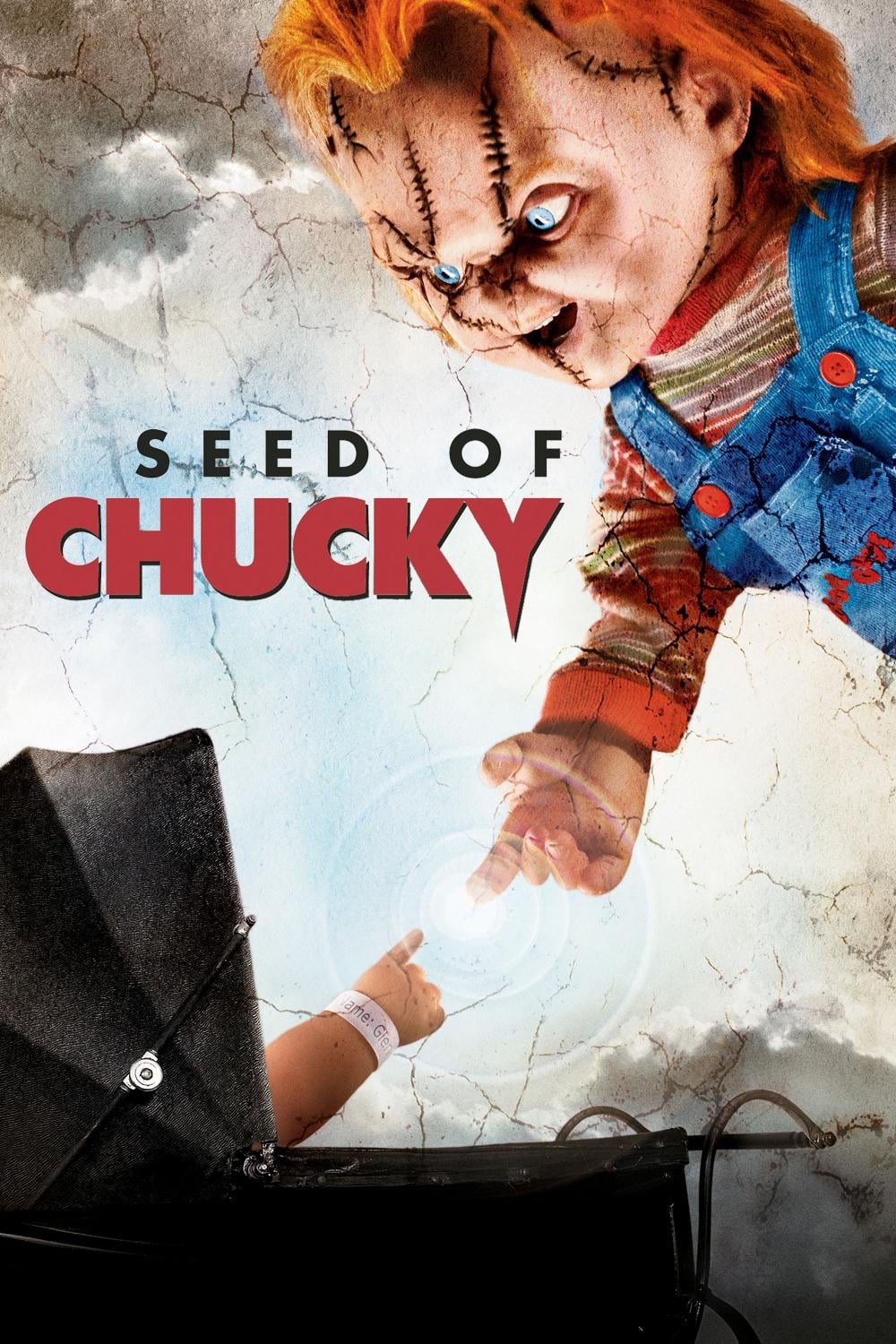 Seed of Chucky (2004) 448Kbps 23.976Fps 48Khz 5.1Ch DVD Turkish Audio TAC