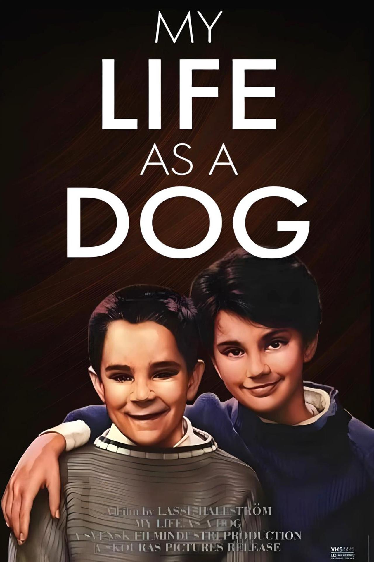 My Life as a Dog (1985) 192Kbps 23.976Fps 48Khz 2.0Ch VCD Turkish Audio TAC