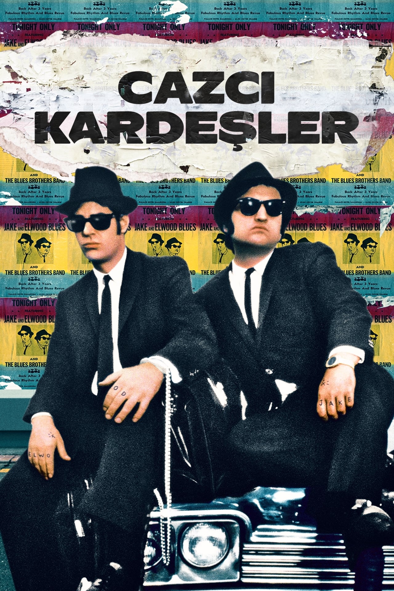 The Blues Brothers (1980) Theatrical Cut 192Kbps 23.976Fps 48Khz 2.0Ch DVD Turkish Audio TAC