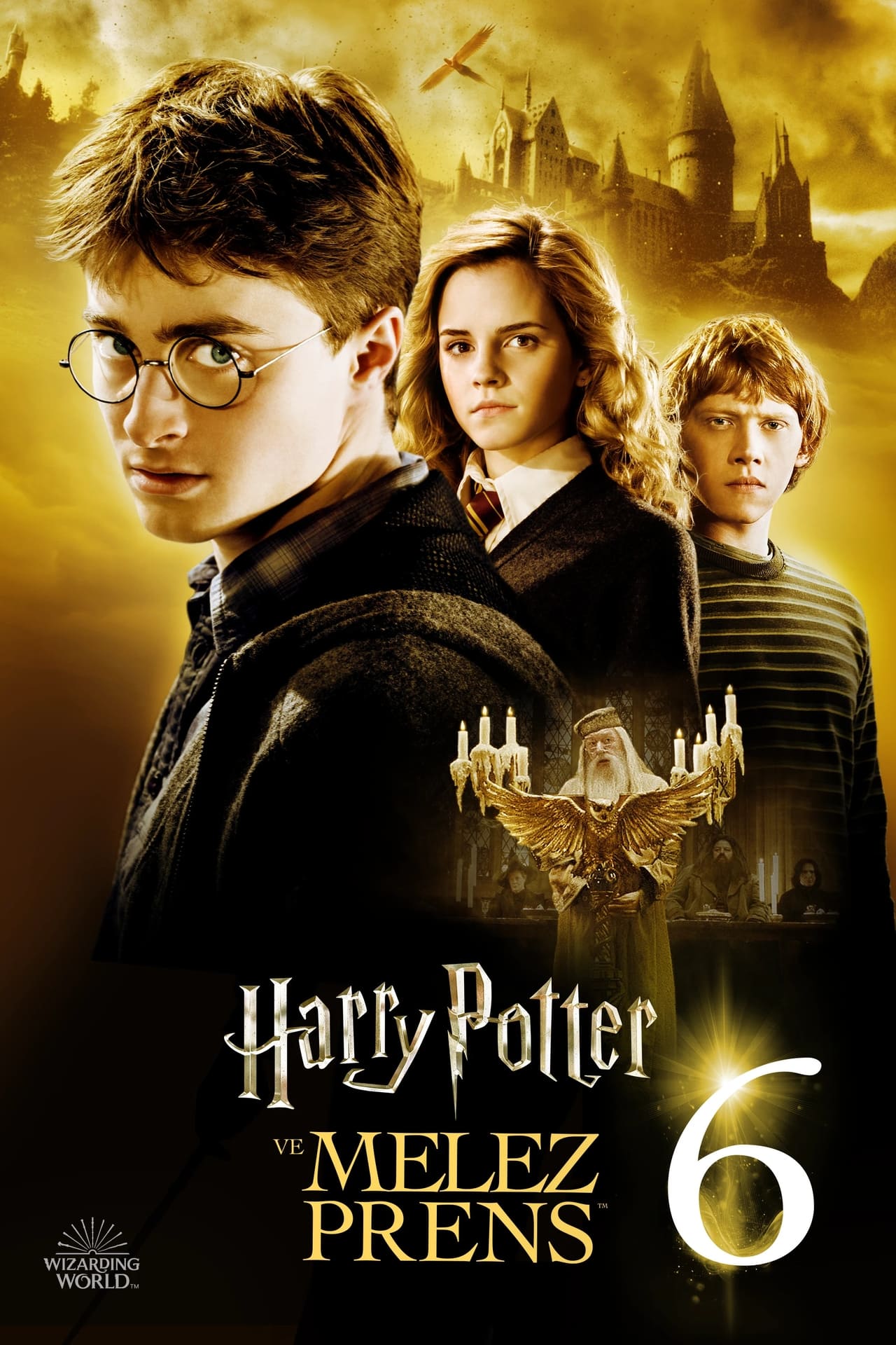 Harry Potter and the Half-Blood Prince (2009) 192Kbps 23.976Fps 48Khz 2.0Ch DigitalTV Turkish Audio TAC