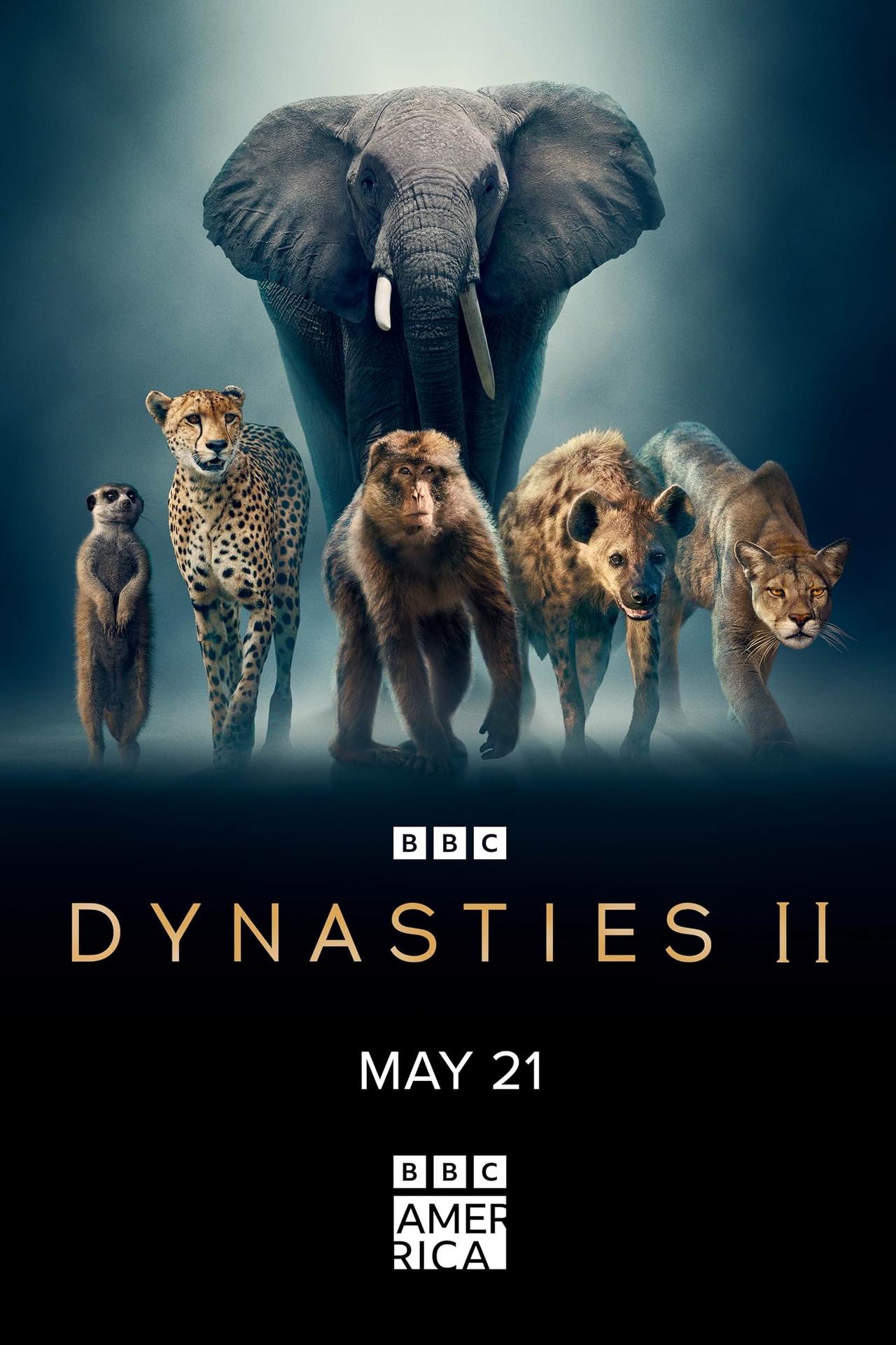 Dynasties (2022) EP01&EP06 192Kbps 25Fps 48Khz 2.0Ch DigitalTV AC3