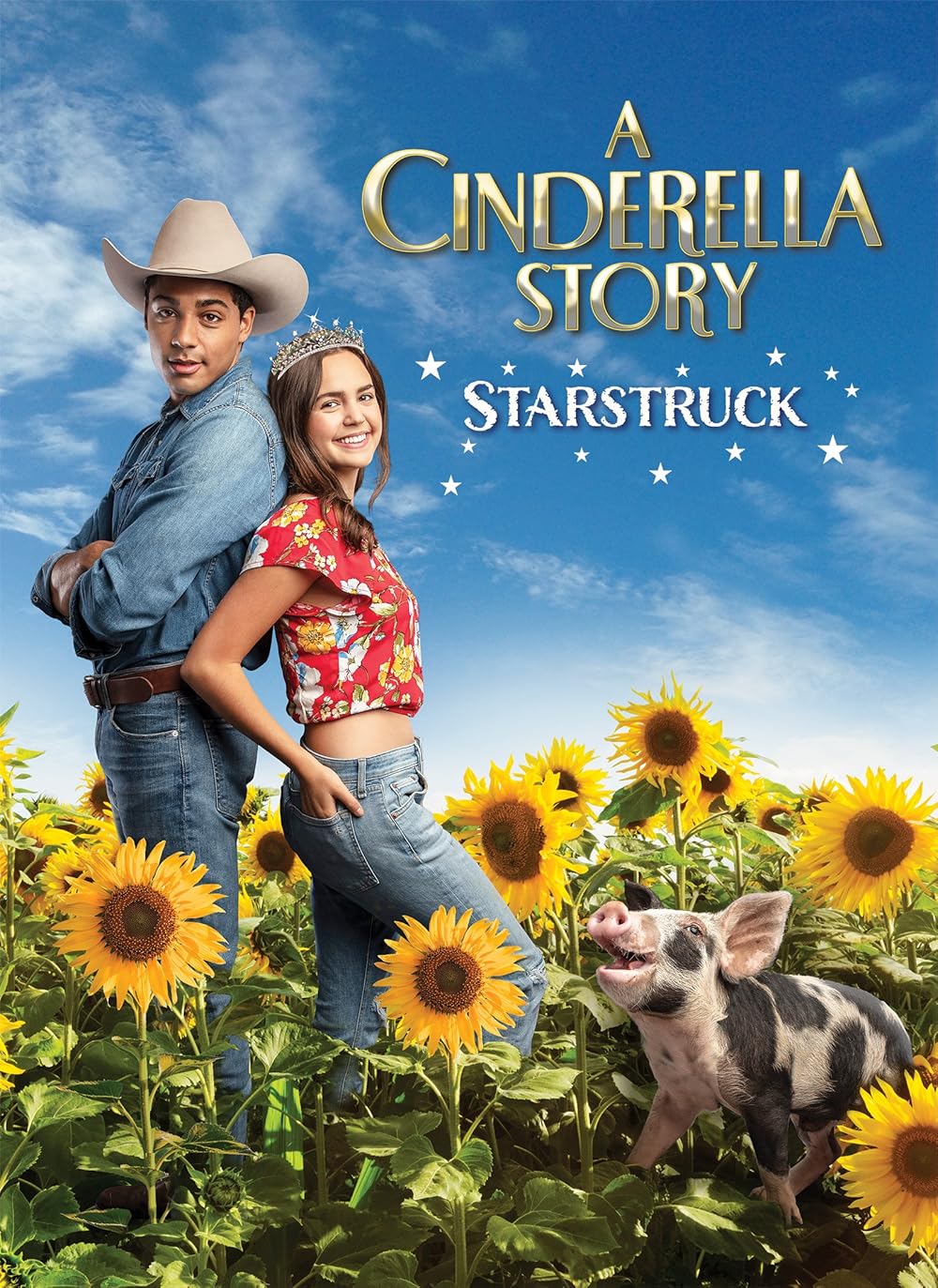 A Cinderella Story: Starstruck (2021) 192Kbps 23.976Fps 48Khz 2.0Ch DigitalTV Turkish Audio TAC