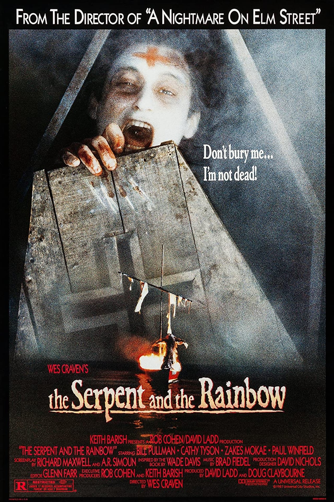 The Serpent and the Rainbow (1988) 192Kbps 23.976Fps 48Khz 2.0Ch VCD Turkish Audio TAC