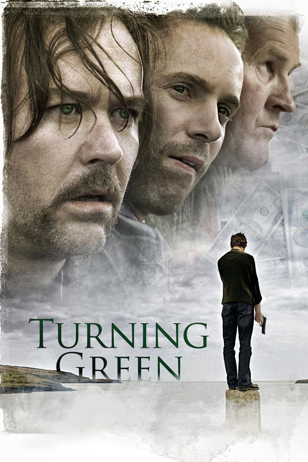 Turning Green (2005) 192Kbps 23.976Fps 48Khz 2.0Ch DigitalTV Turkish Audio TAC