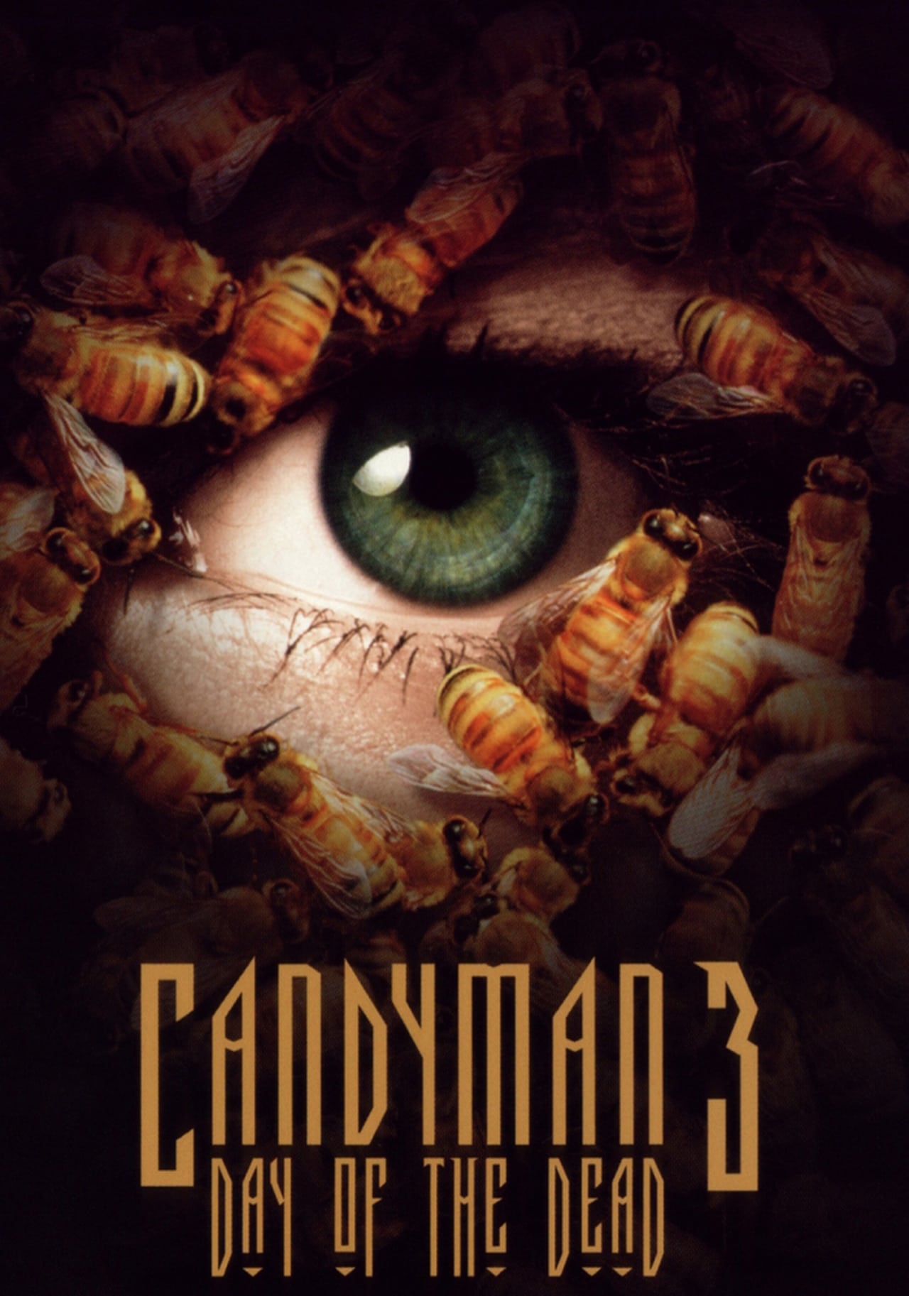 Candyman: Day of the Dead (1999) 192Kbps 23.976Fps 48Khz 2.0Ch DigitalTV Turkish Audio TAC