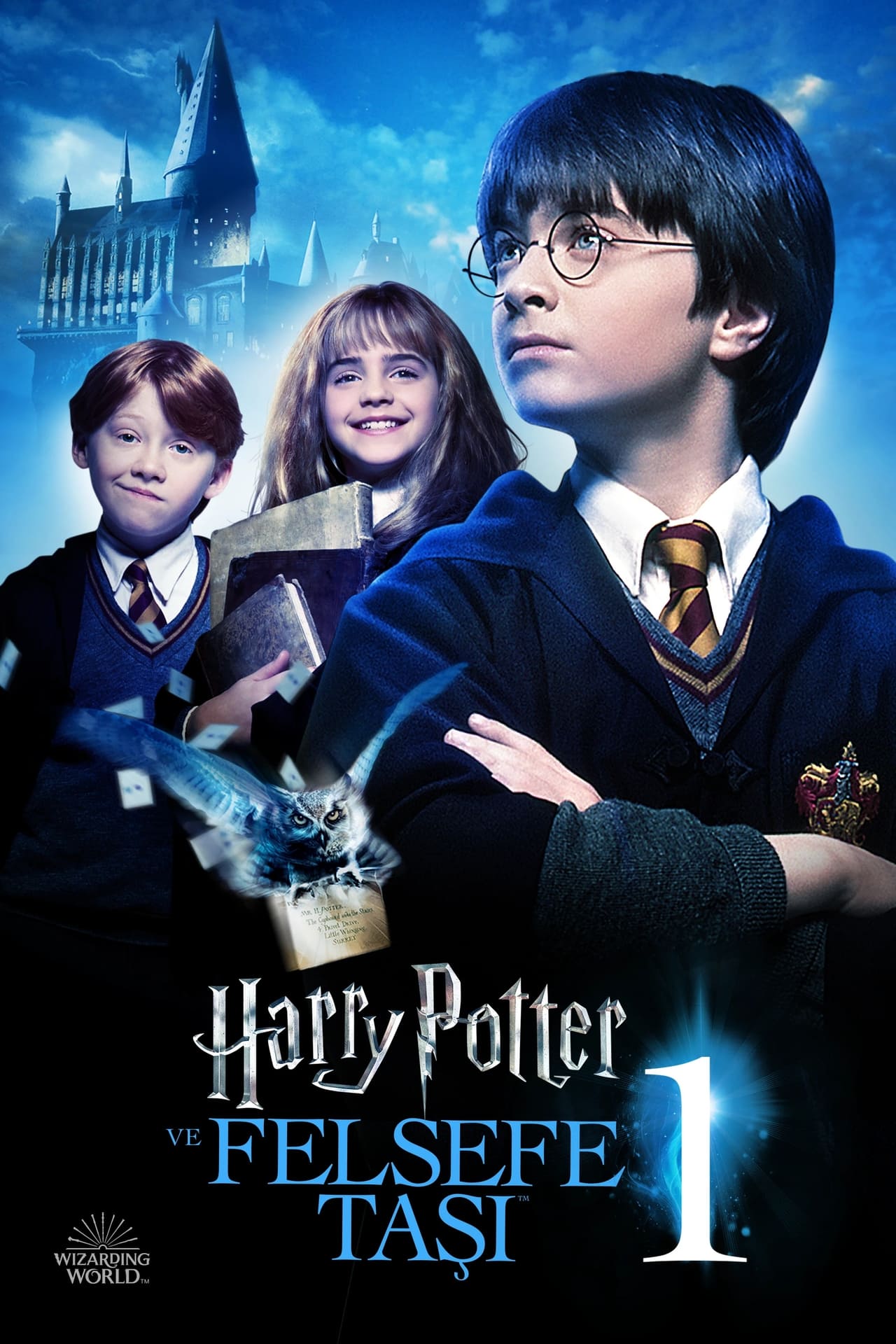 Harry Potter and the Sorcerer's Stone (2001) 192Kbps 23.976Fps 48Khz 2.0Ch DigitalTV Turkish Audio TAC