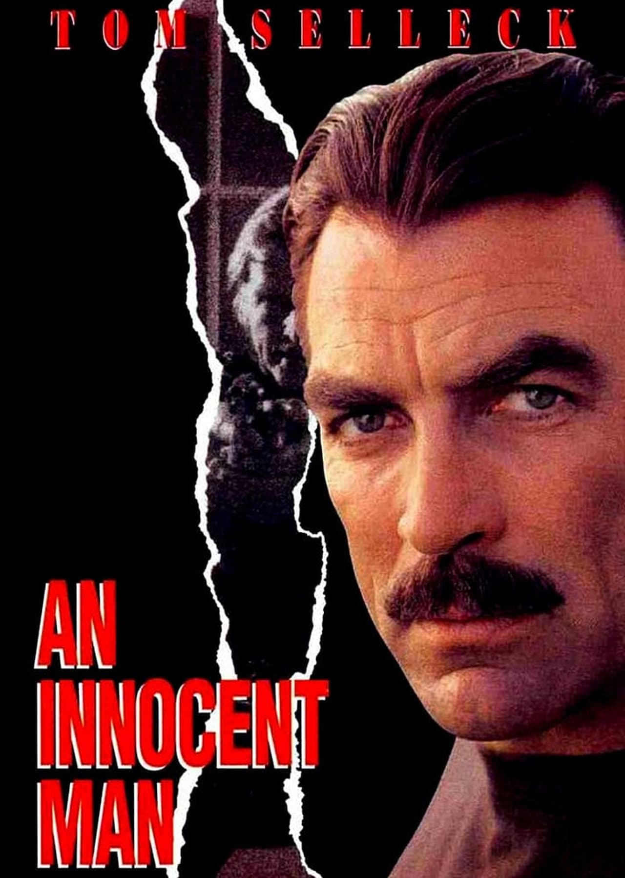 An Innocent Man (1989) 192Kbps 23.976Fps 48Khz 2.0Ch iTunes Turkish Audio TAC