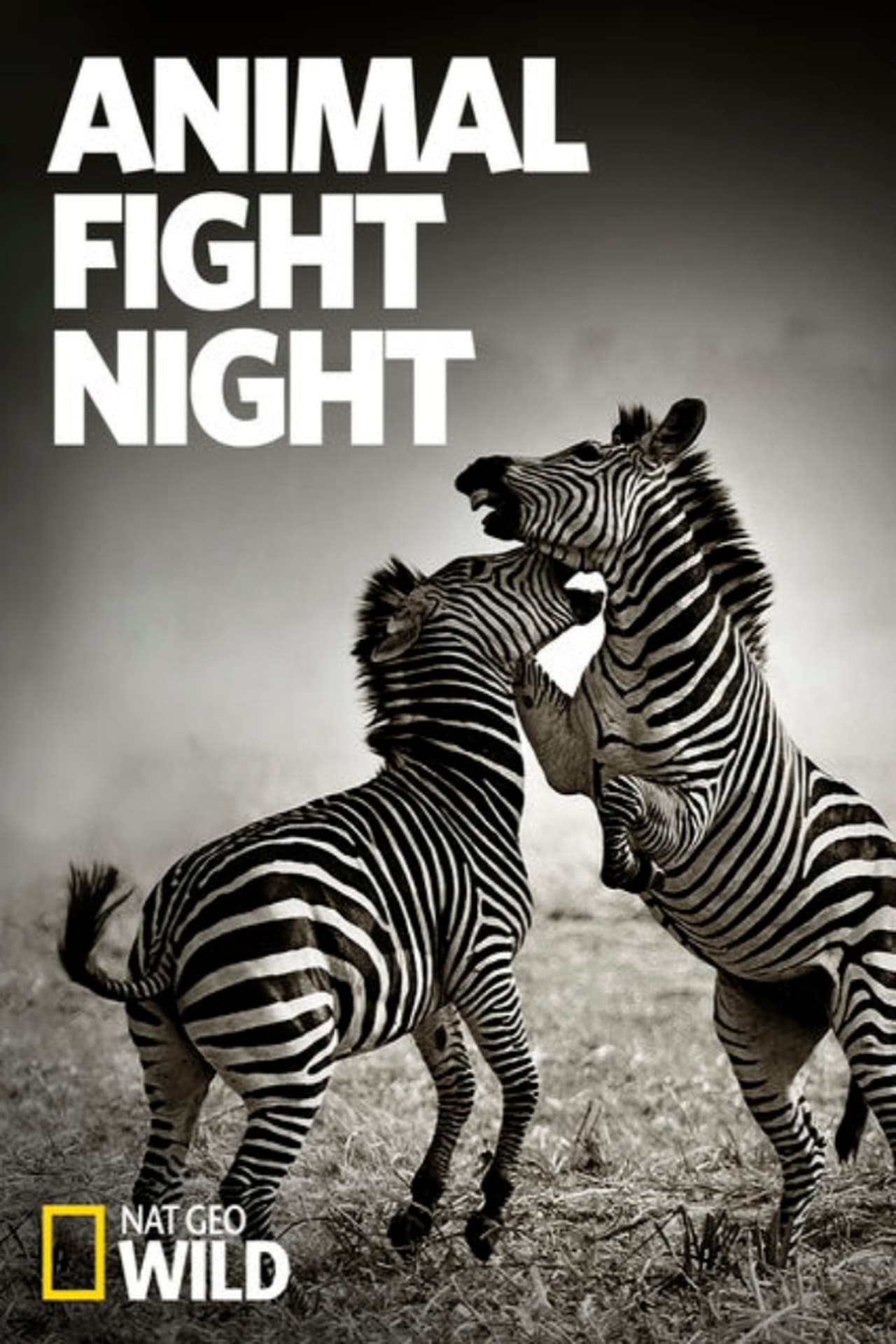 Animal Fight Night (2016&2017) S4 EP01&EP06 128Kbps 25Fps 48Khz 2.0Ch Disney+ DD+ E-AC3 Turkish Audio TAC