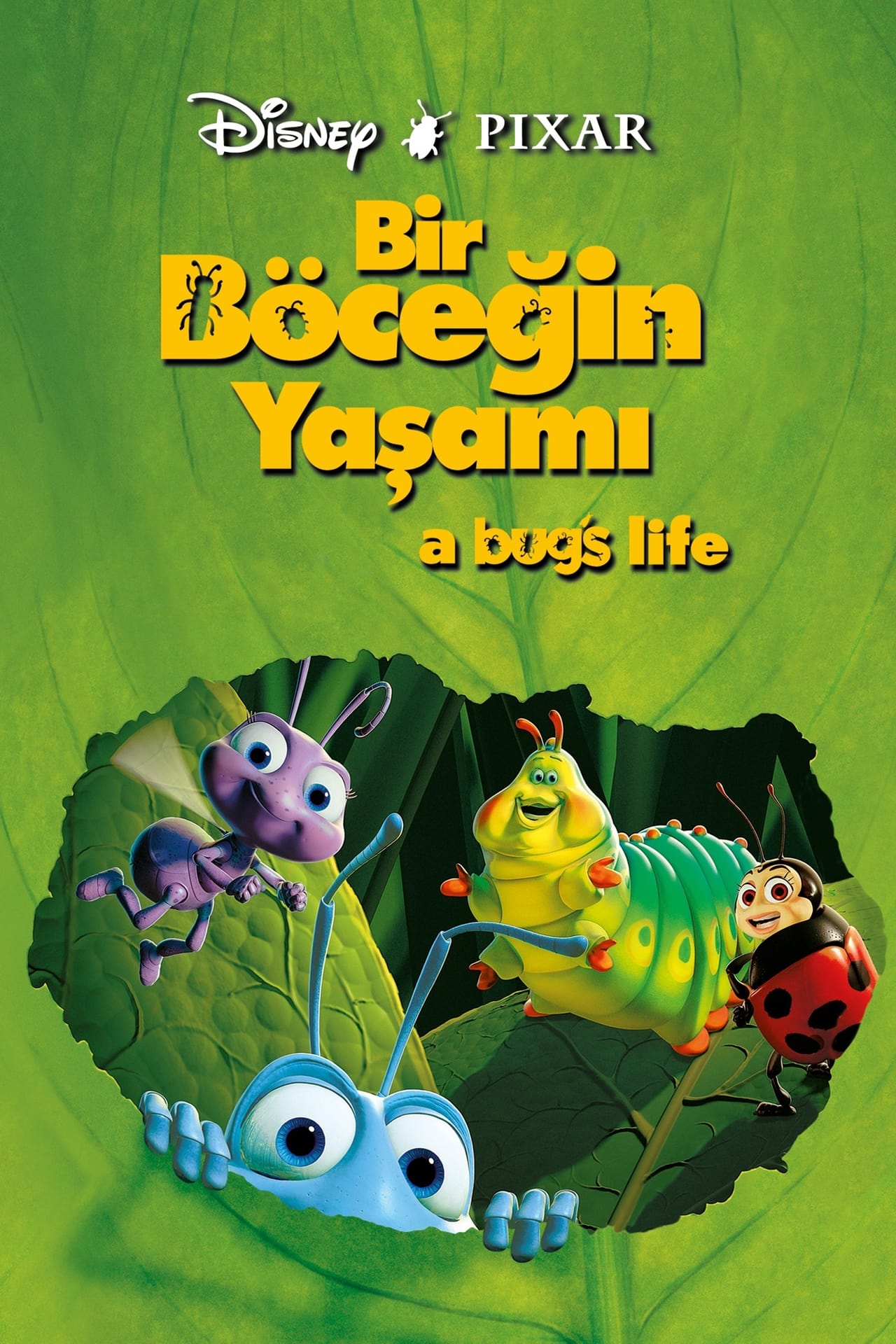 A Bug's Life (1998) 256Kbps 23.976Fps 48Khz 5.1Ch Disney+ DD+ E-AC3 Turkish Audio TAC