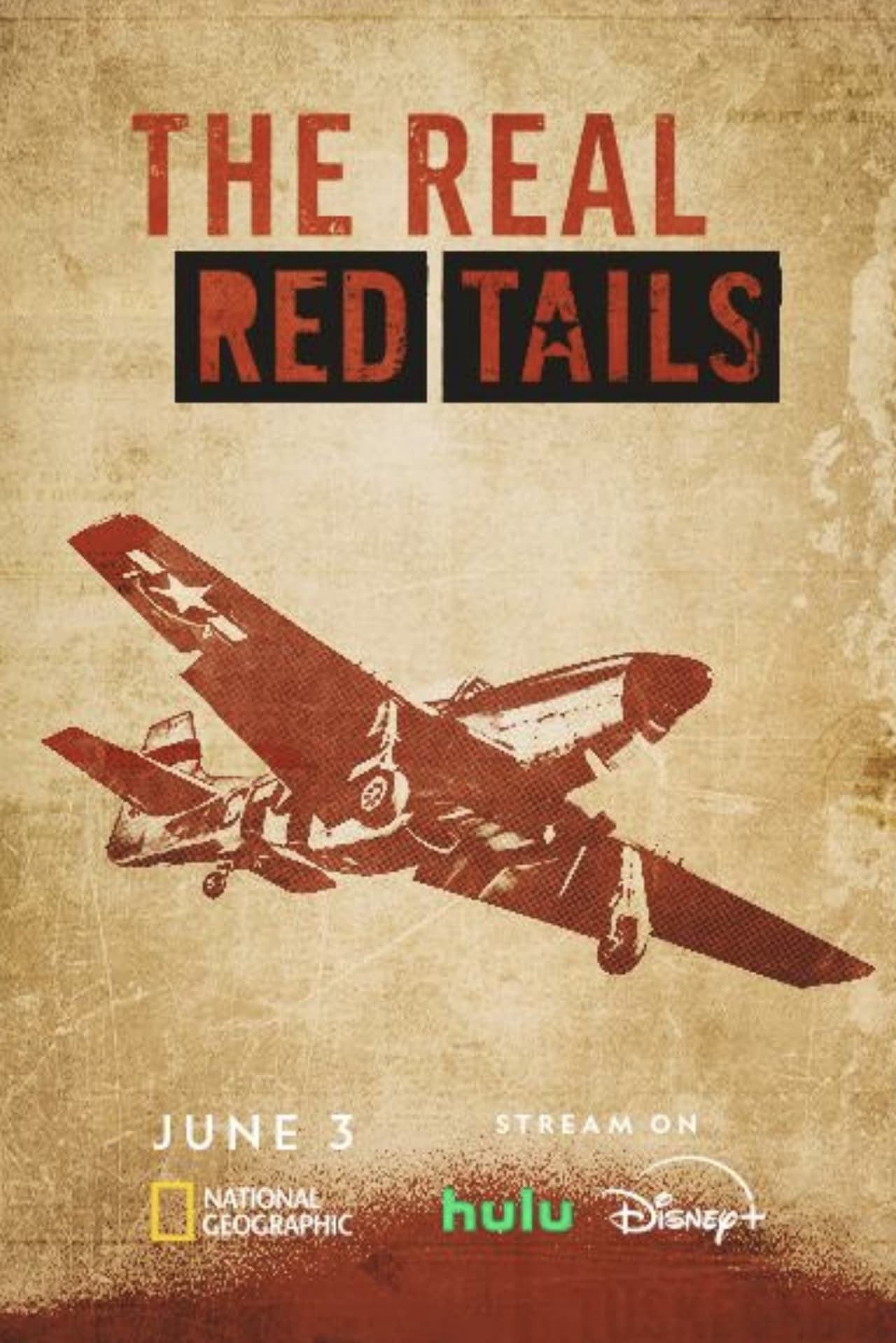 The Real Red Tails (2024) 128Kbps 23.976Fps 48Khz 2.0Ch Disney+ DD+ E-AC3 Turkish Audio TAC