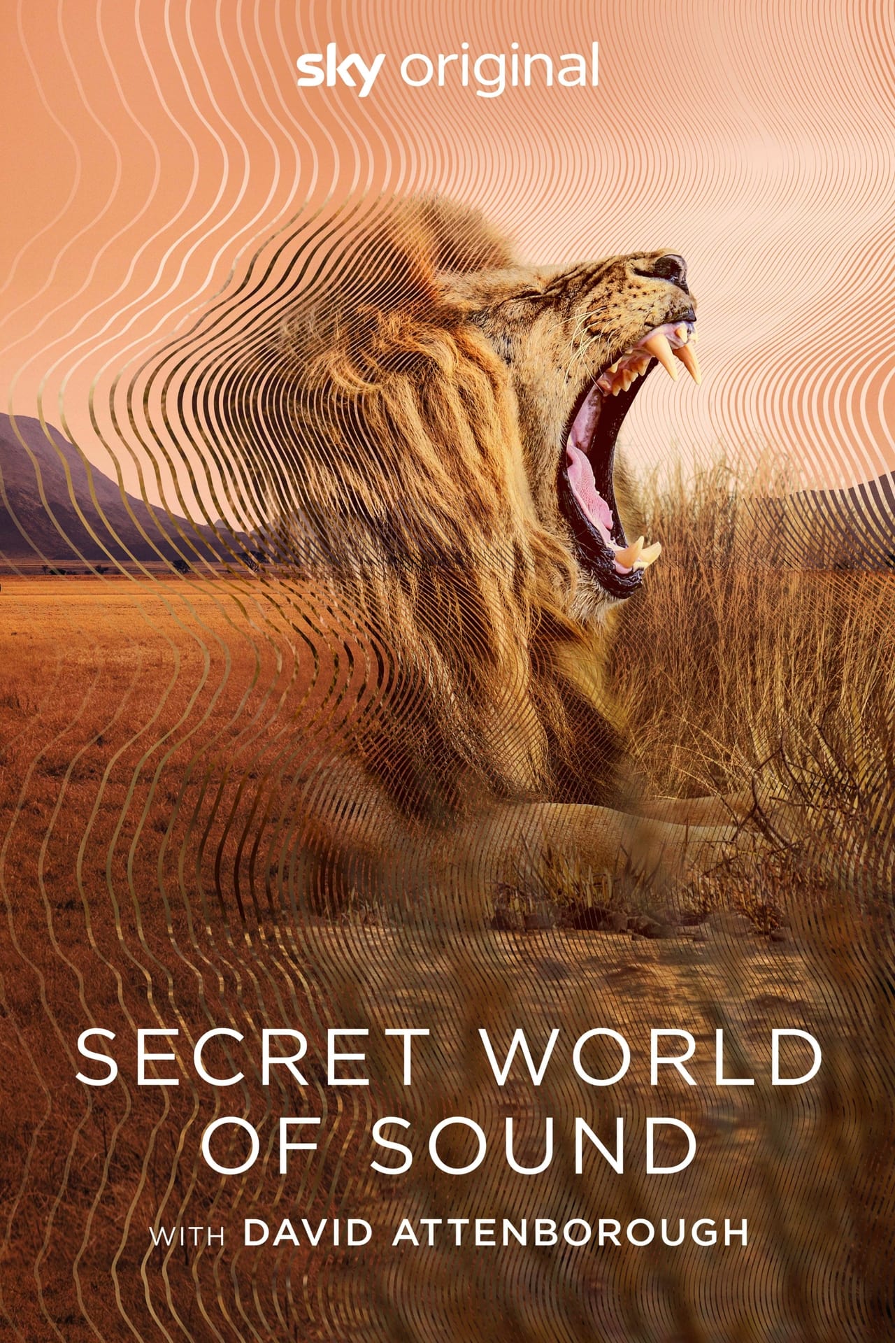 Secret World of Sound with David Attenborough (2024) S1 EP01&EP03 640Kbps 25Fps 48Khz 5.1Ch DD+ NF E-AC3 Turkish Audio TAC