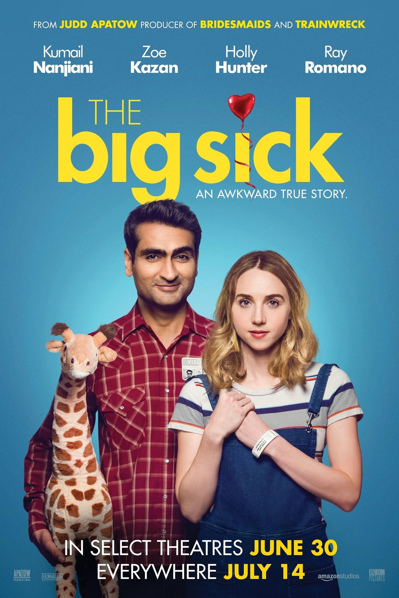 The Big Sick (2017) 192Kbps 23.976Fps 48Khz 2.0Ch DigitalTV Turkish Audio TAC