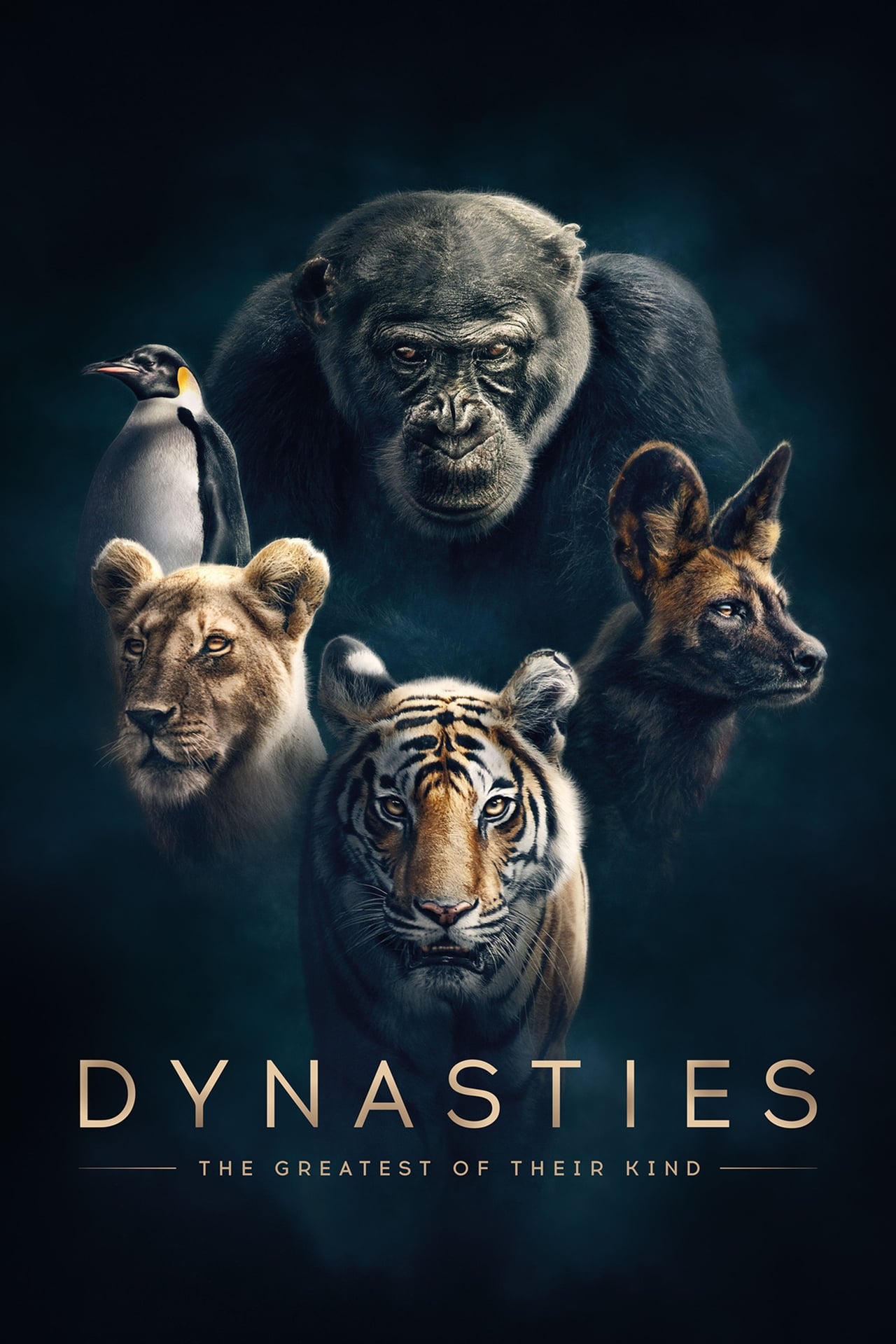 Dynasties (2018) EP01&EP5 192Kbps 25Fps 48Khz 2.0Ch TiviBu AC3