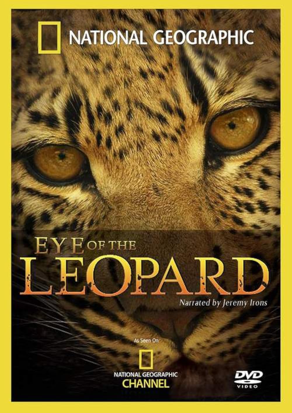 Eye of the Leopard (2006) 448Kbps 23.976Fps 48Khz 5.1Ch BluRay Turkish Audio TAC