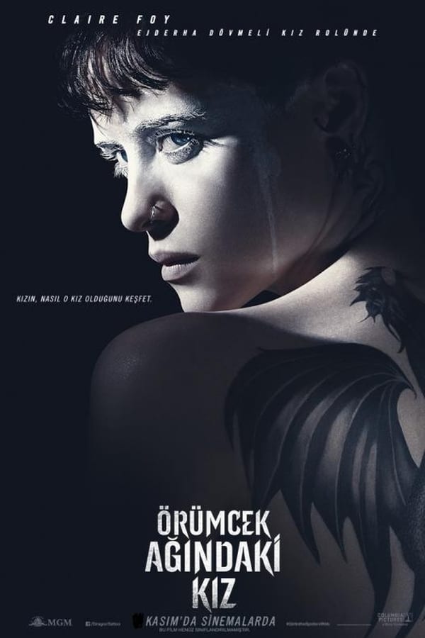 The Girl in the Spider's Web (2018) 640Kbps 23.976Fps 48Khz 5.1Ch BluRay Turkish Audio TAC