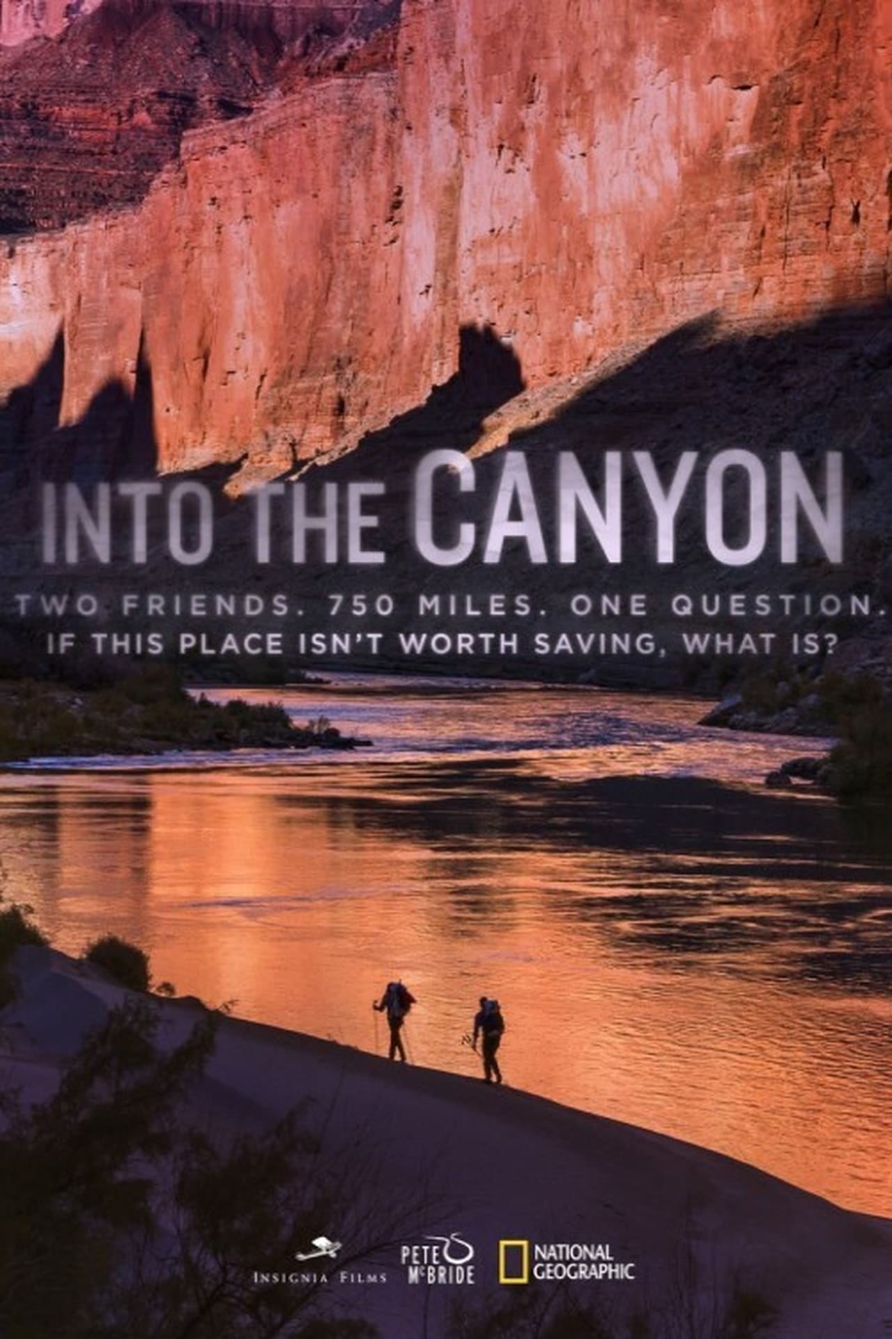 Into the Canyon (2019) 128Kbps 23.976Fps 48Khz 2.0Ch Disney+ DD+ E-AC3 Turkish Audio TAC