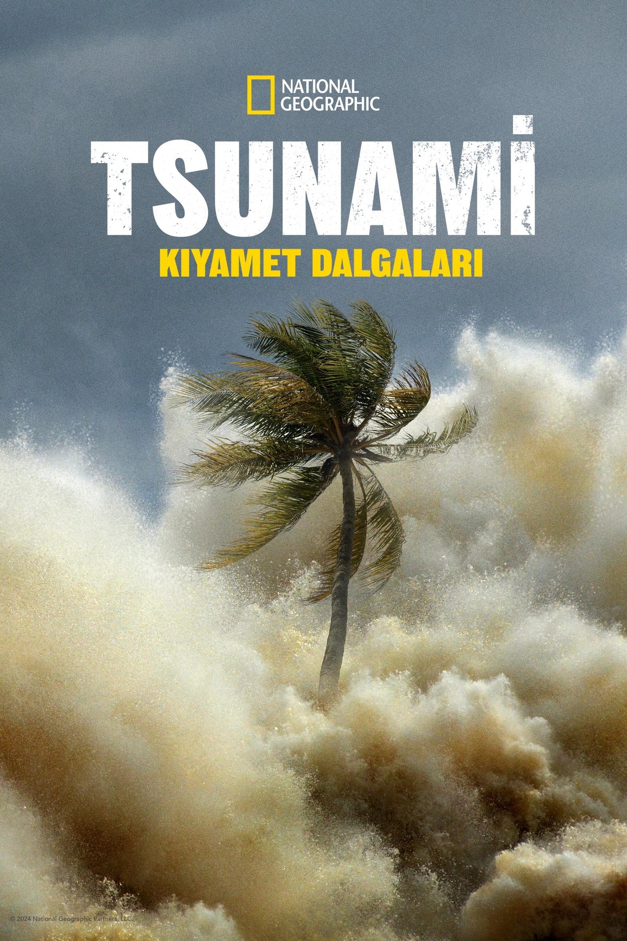 Tsunami: Race Against Time (2024) S1 EP01&EP04 128Kbps 23.976Fps 48Khz 2.0Ch Disney+ DD+ E-AC3 Turkish Audio TAC