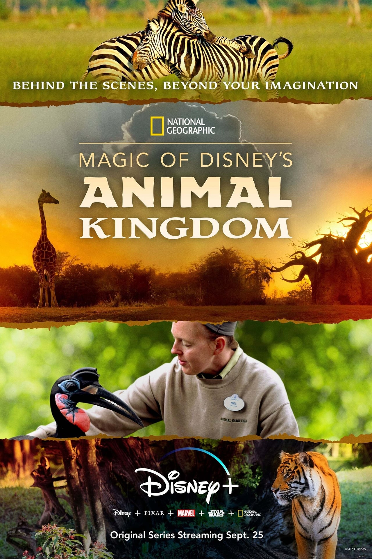 Magic of Disney's Animal Kingdom (2020) S1 EP01&EP08 256Kbps 23.976Fps 48Khz 5.1Ch Disney+ DD+ E-AC3 Turkish Audio TAC